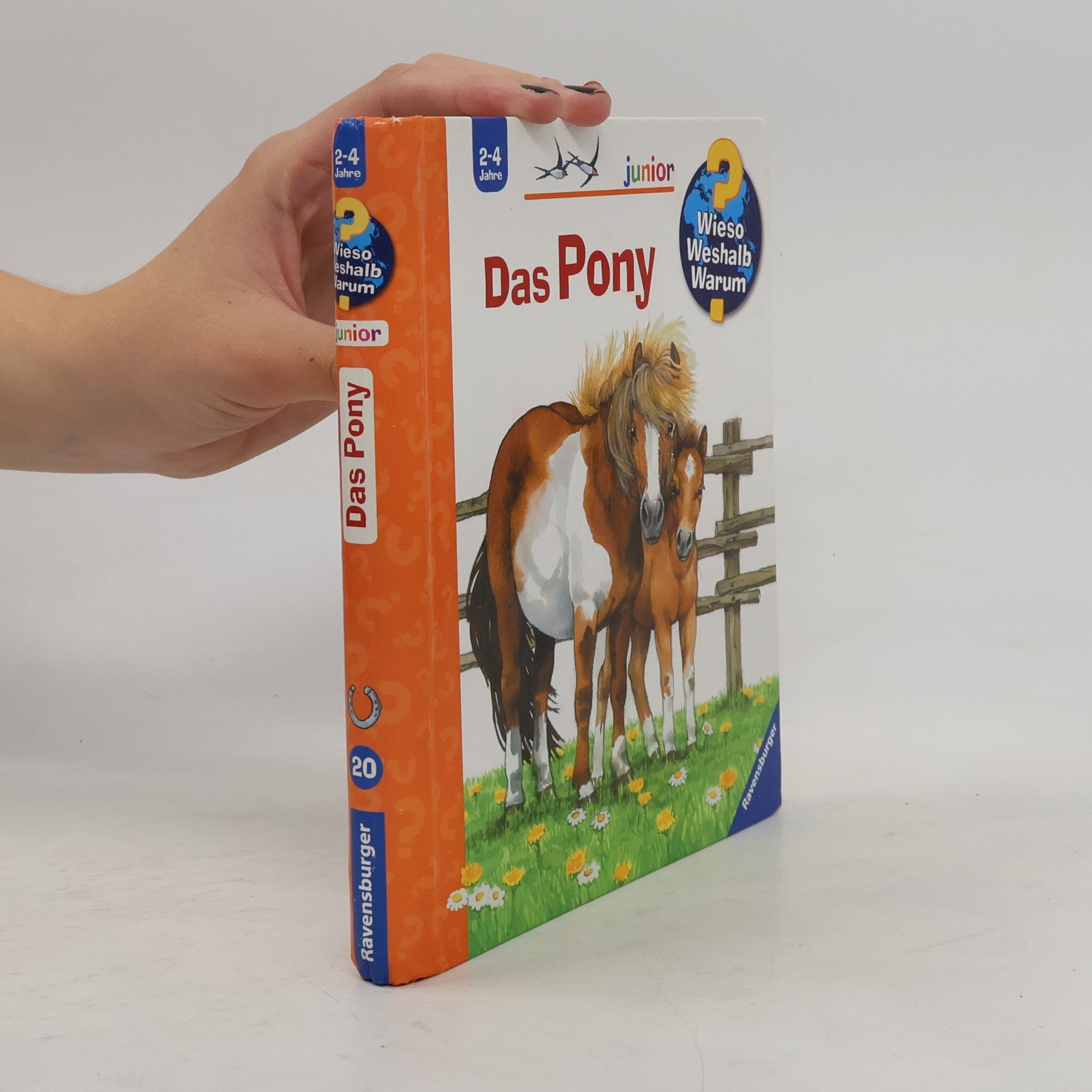 Das Pony
