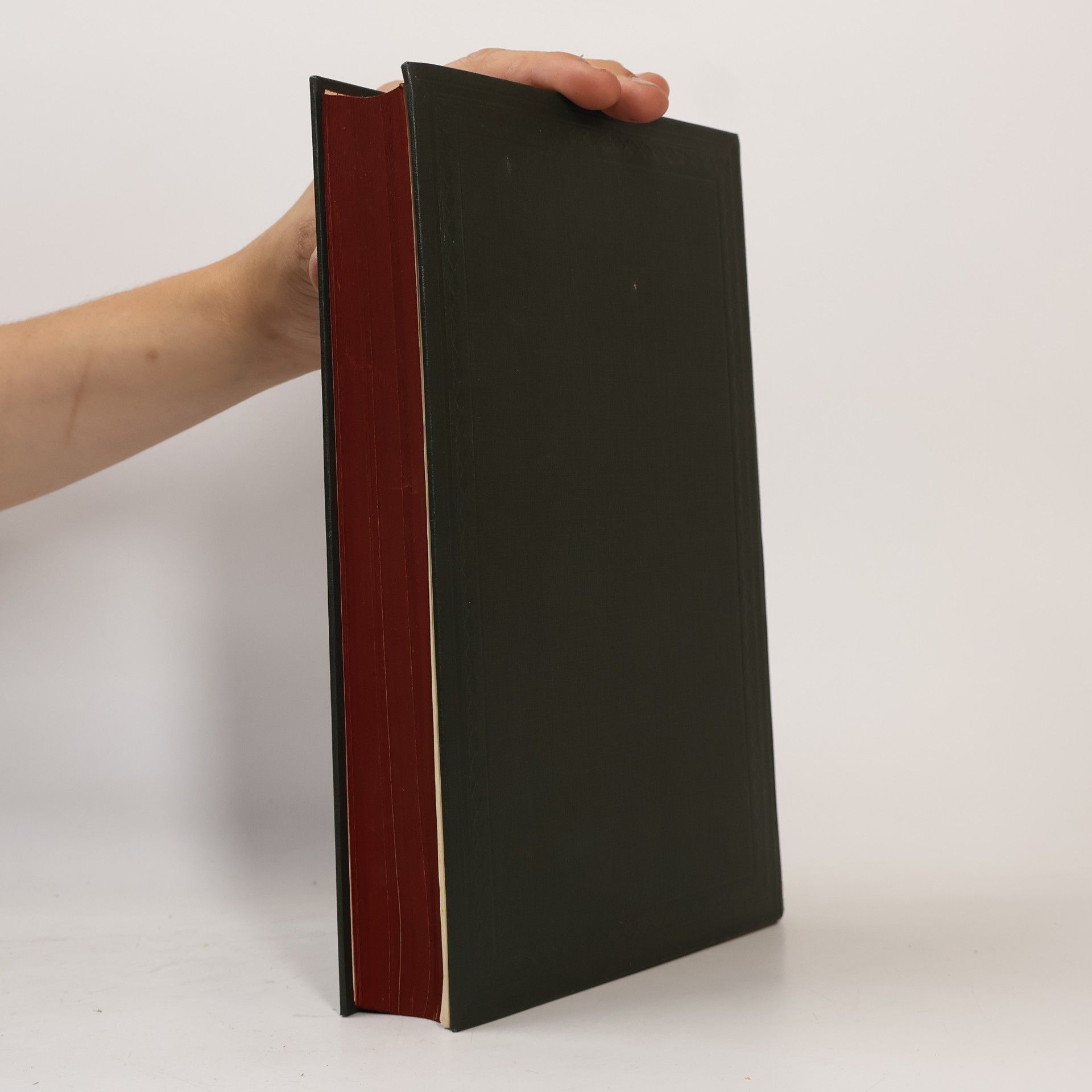Sachs Sachs-Villatte Enzyklopädisches Wörterbuch 2
