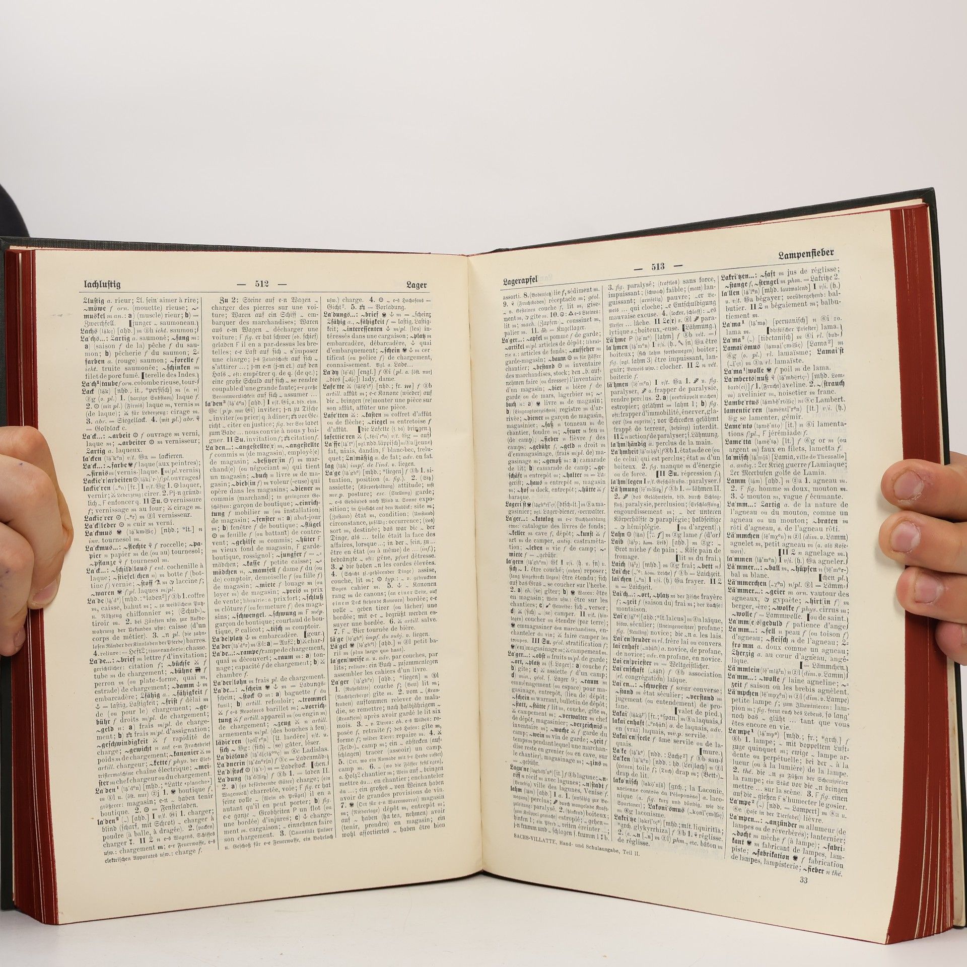Sachs Sachs-Villatte Enzyklopädisches Wörterbuch 2
