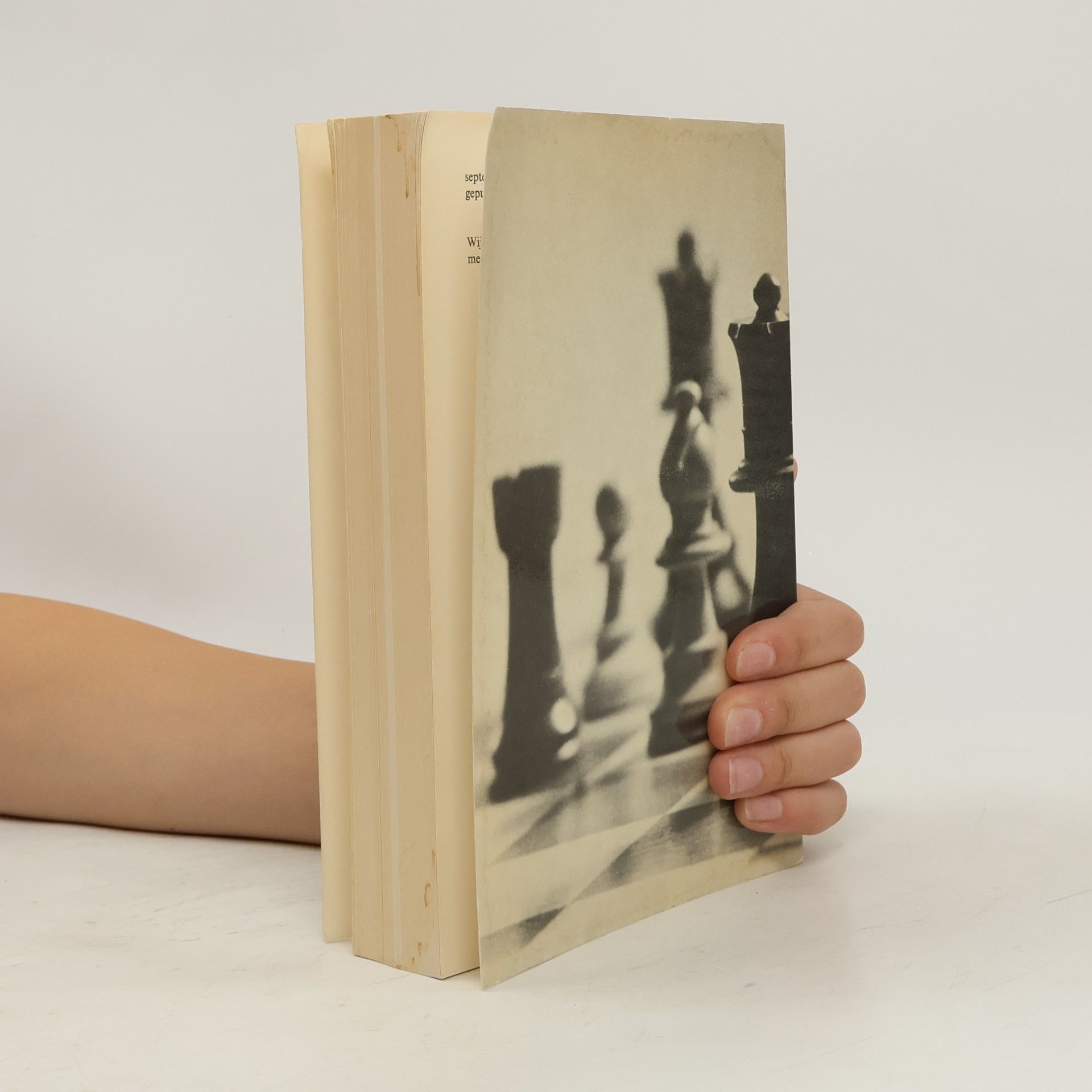 F. W. J. Henneberke Vermande schaakfonds: Willen Jan Muhring, een tijdsbeeld