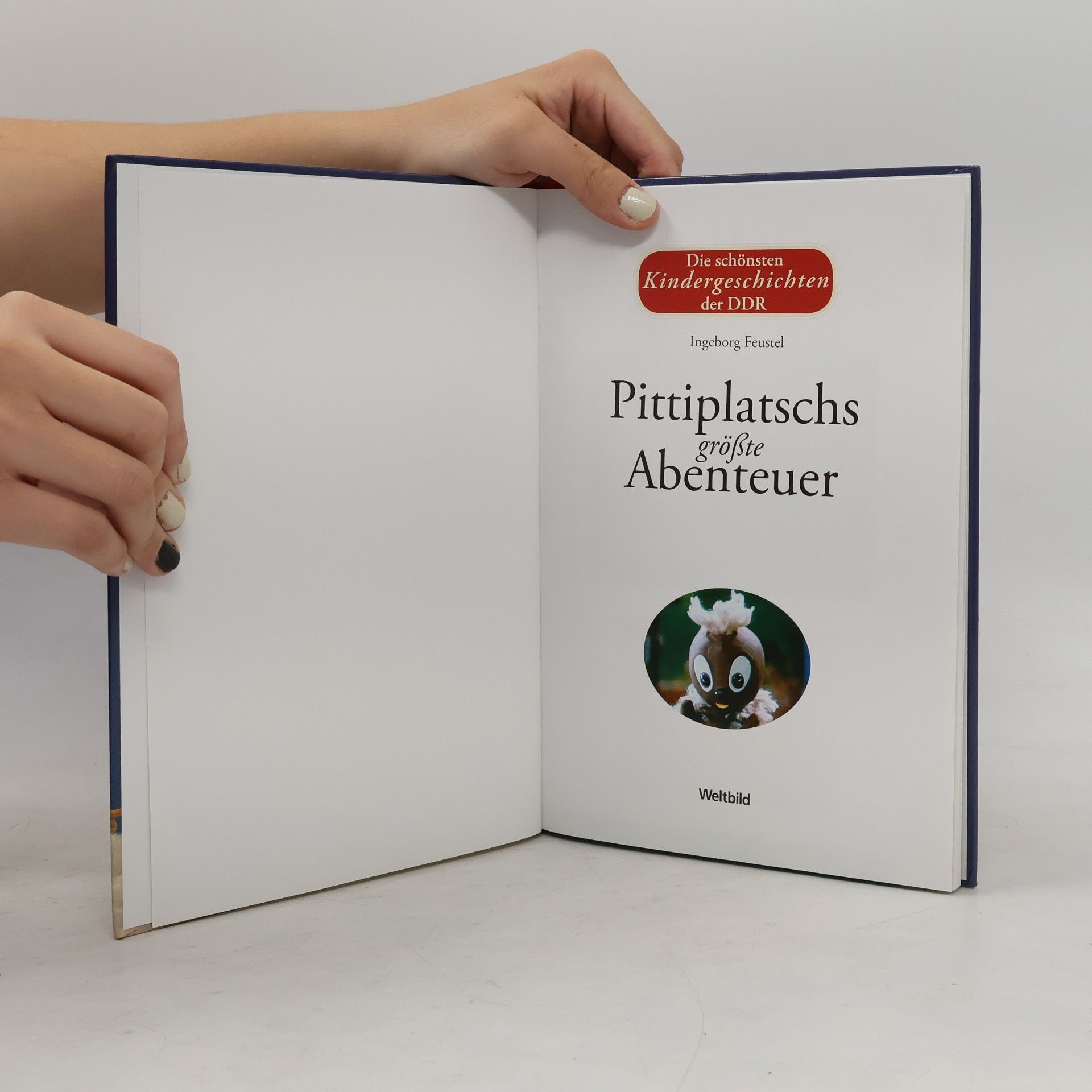 Ingeborg Feustel Pittiplatschs größte Abenteuer - Die schönsten Kindergeschichten der DDR