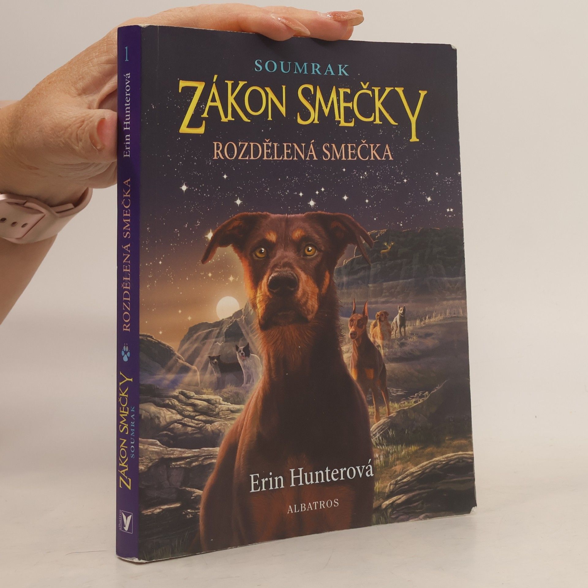 Erin Hunter Rozdělená smečka