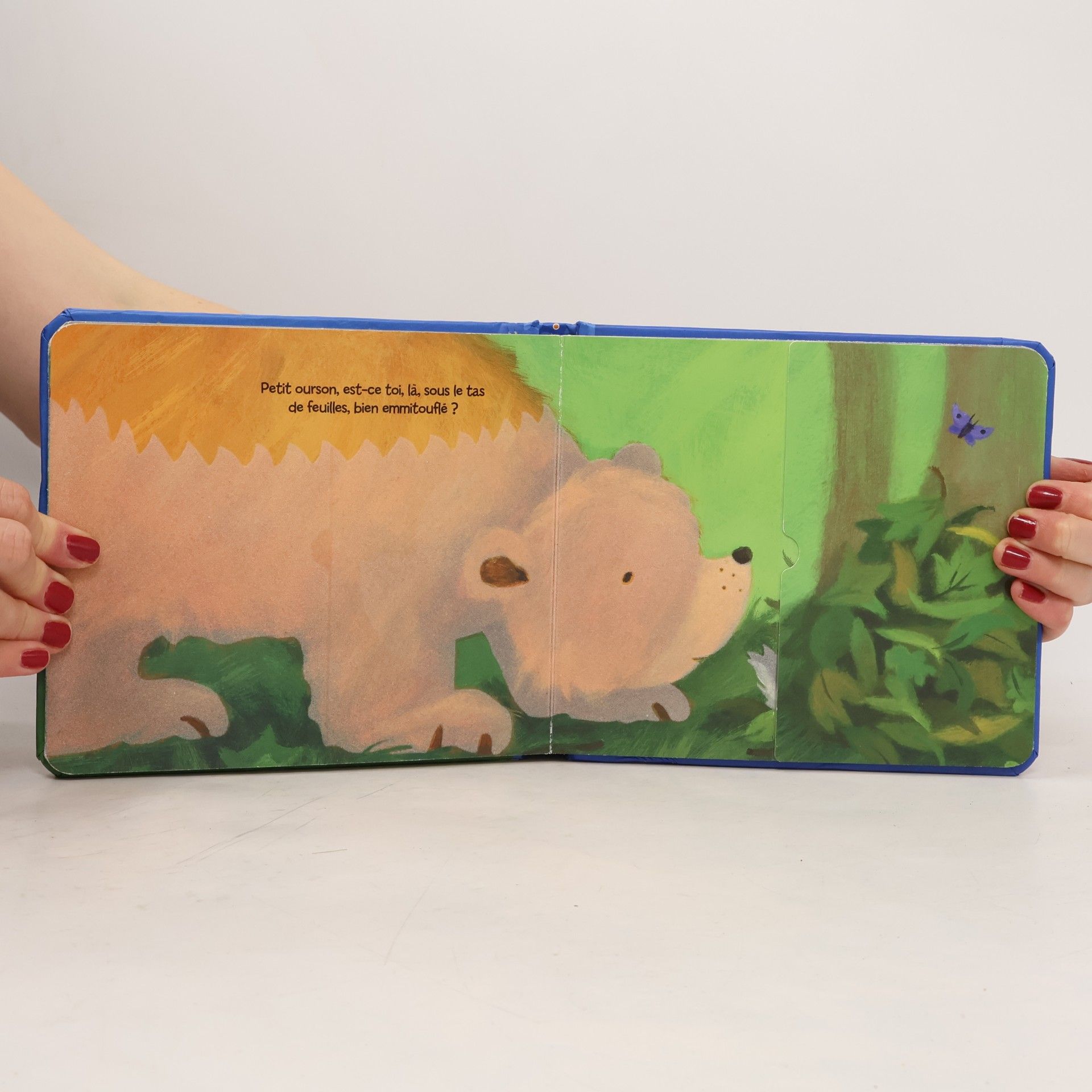 Melanie Mitchell Au lit, petit ourson !