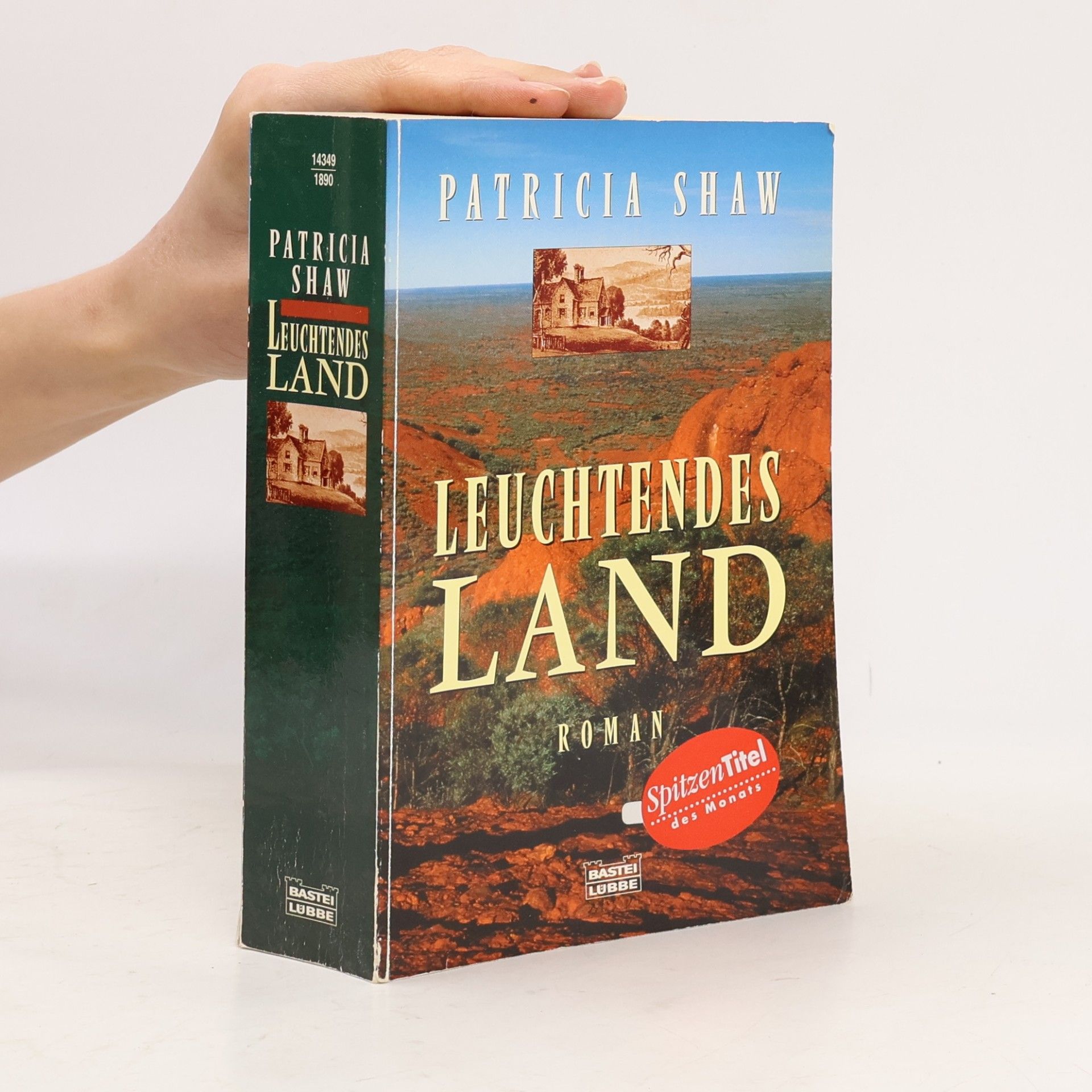 Patricia Shaw Leuchtendes Land