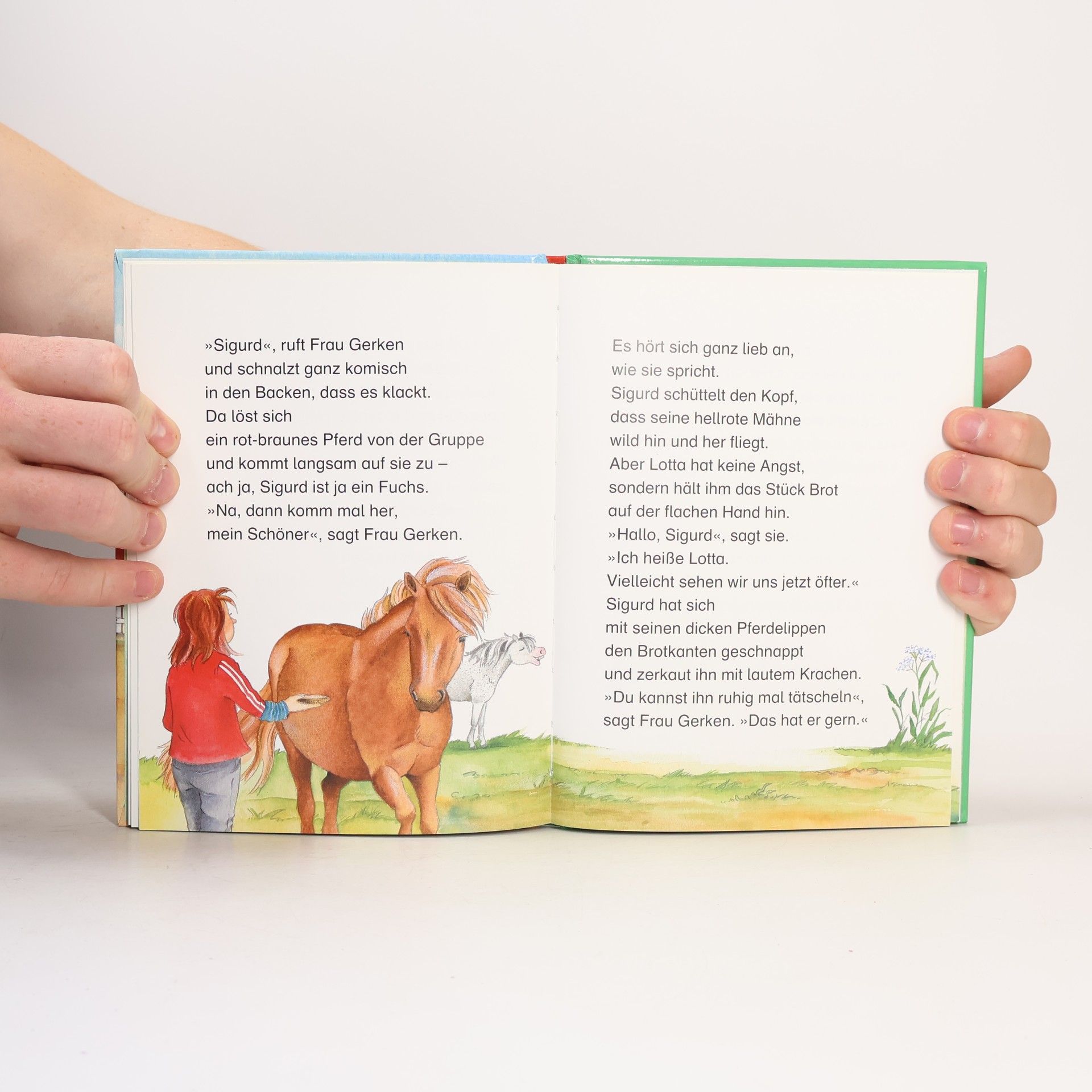 Nina Schindler Ein Pony für Lotta