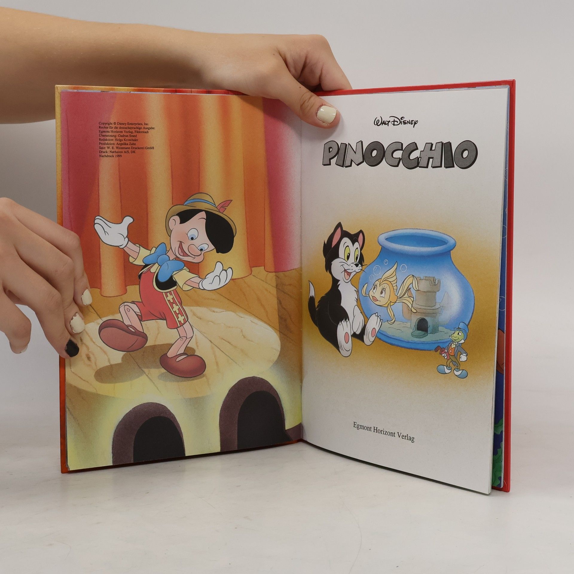 kolektiv Pinocchio