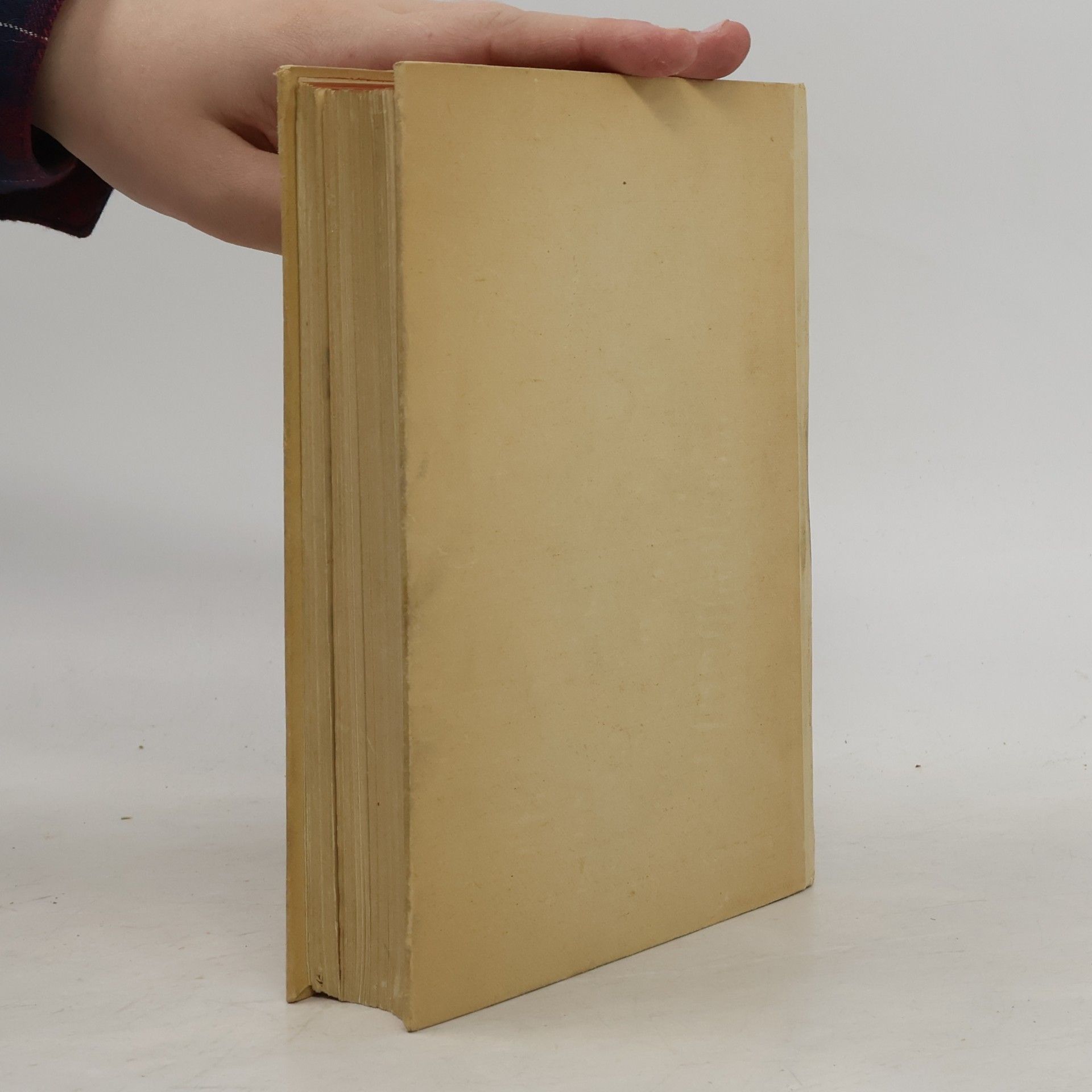Lily Braun Gesammelte Werke 1