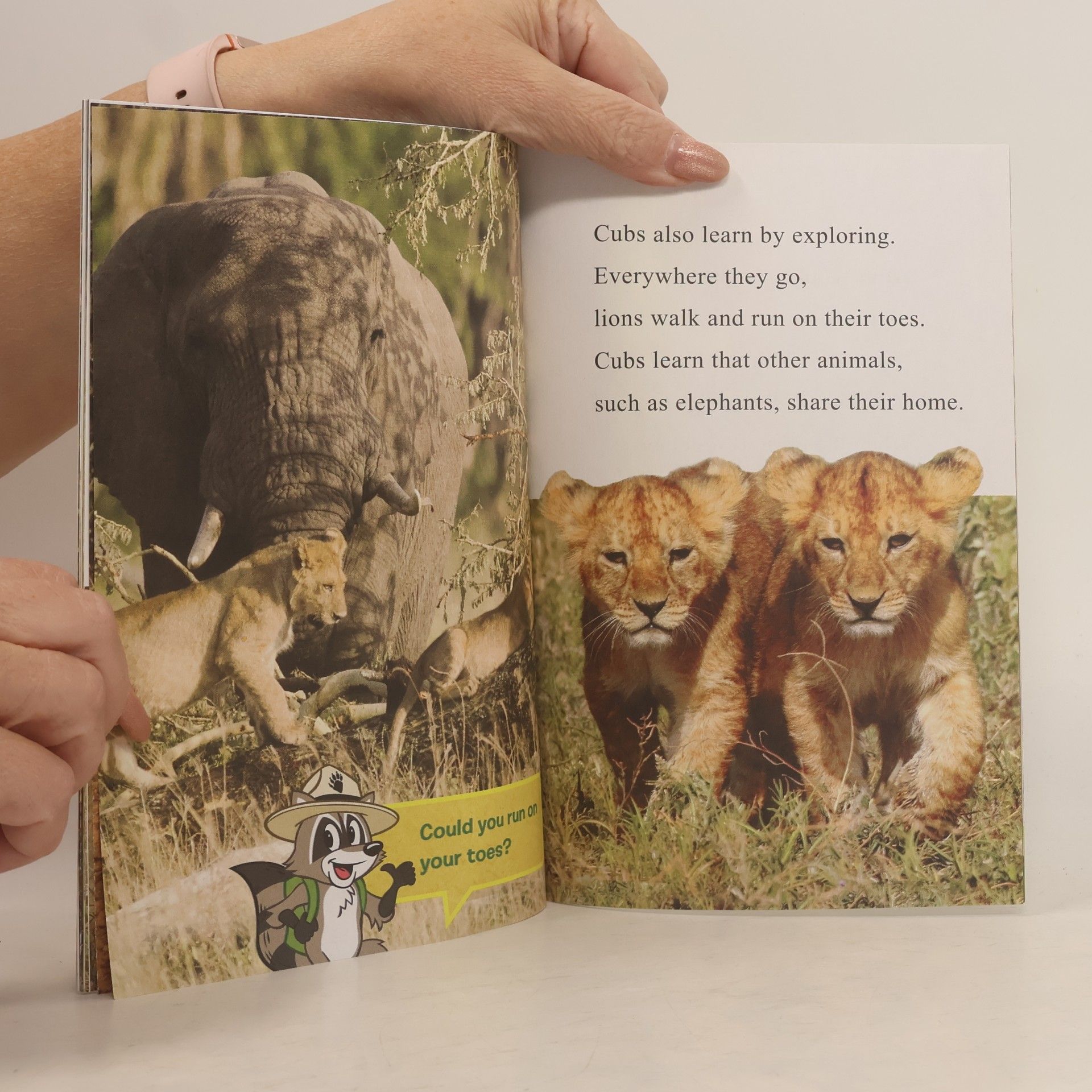 Sandra Markle Ranger Rick - 1: I Wish I Was a Lion