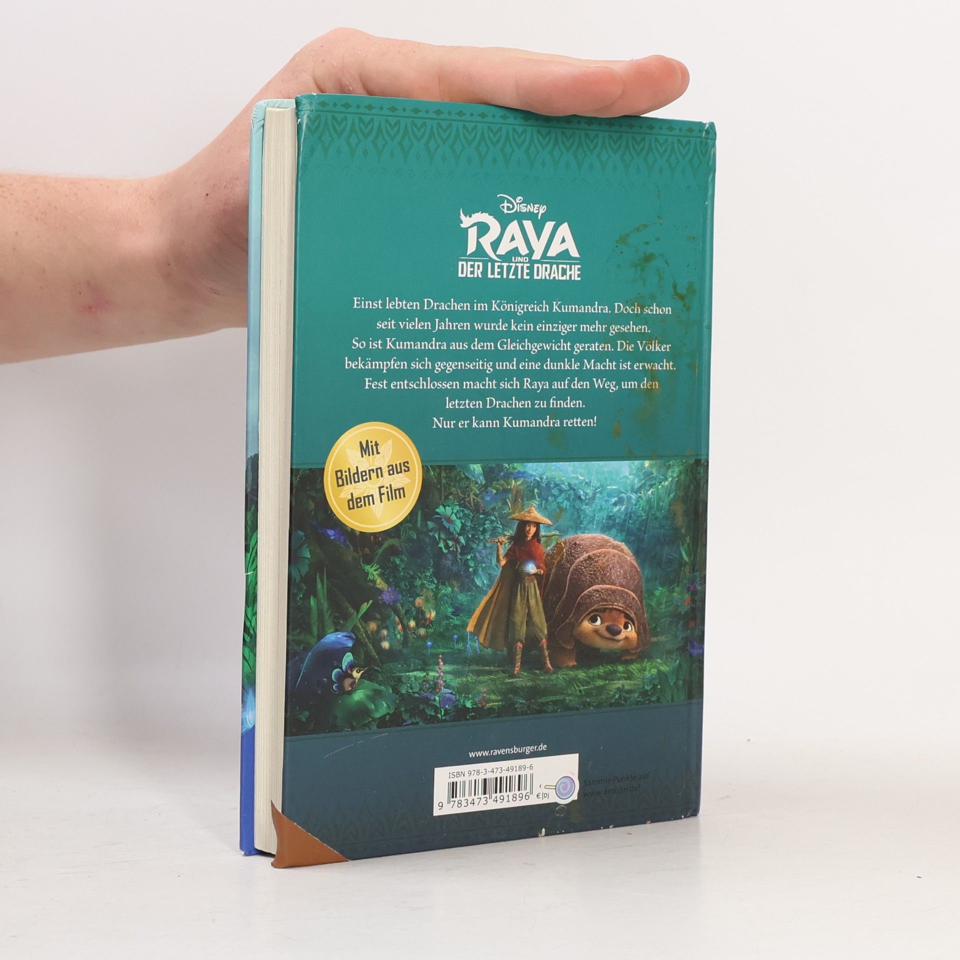 Walt Disney Disney Raya und der letzte Drache: Der Roman zum Film