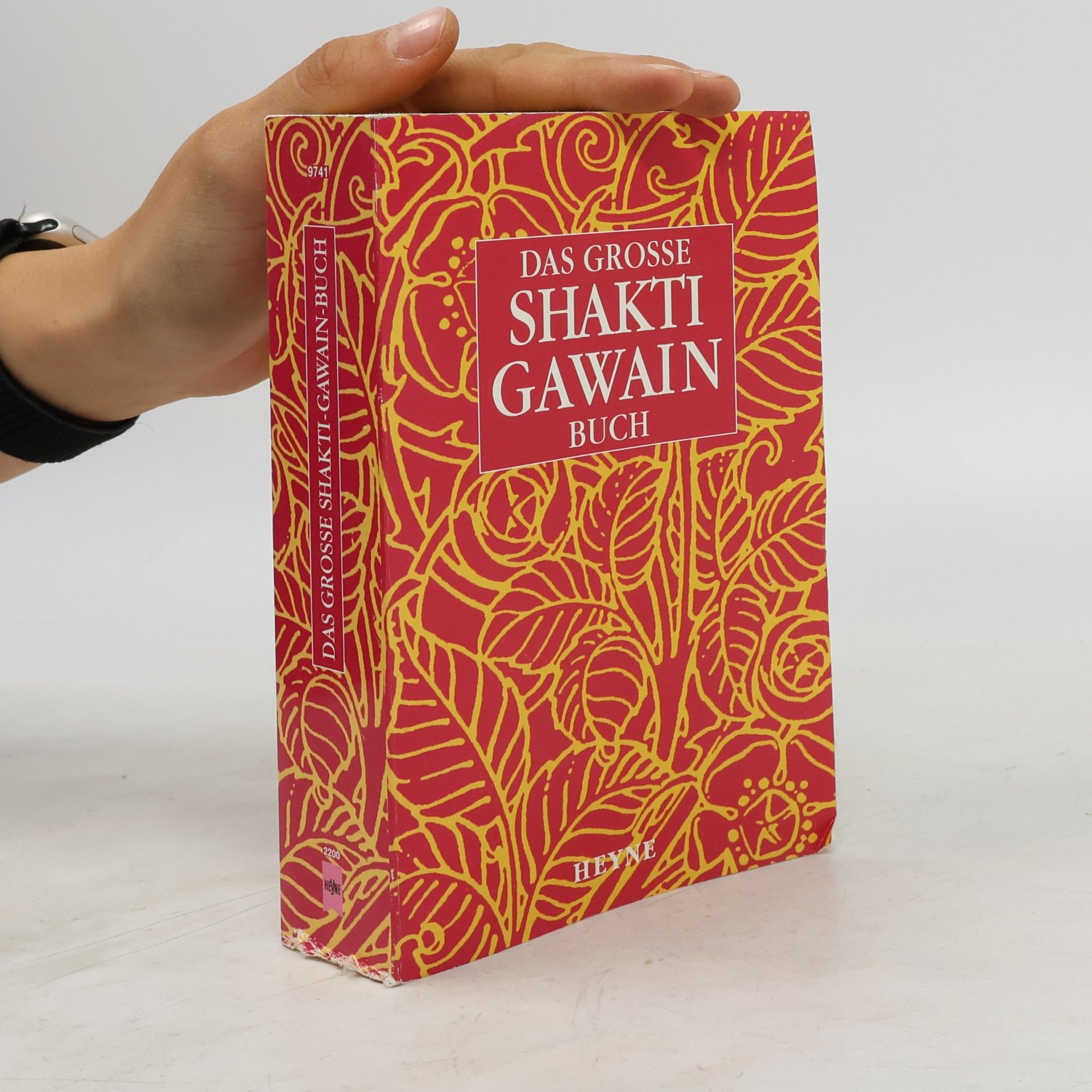 Das grosse Shakti-Gawain Buch