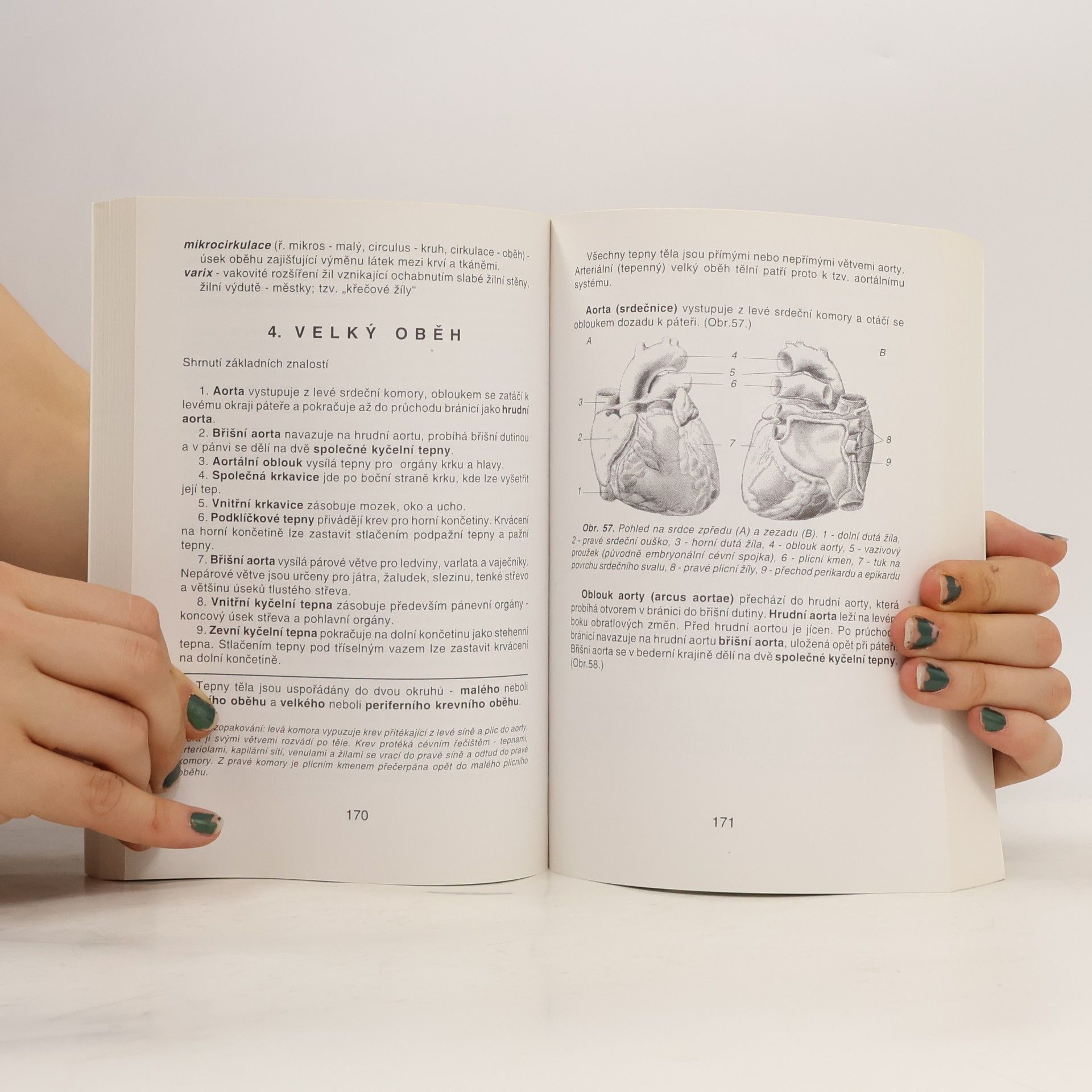 Ivan Dylevský Anatomie a fyziologie člověka