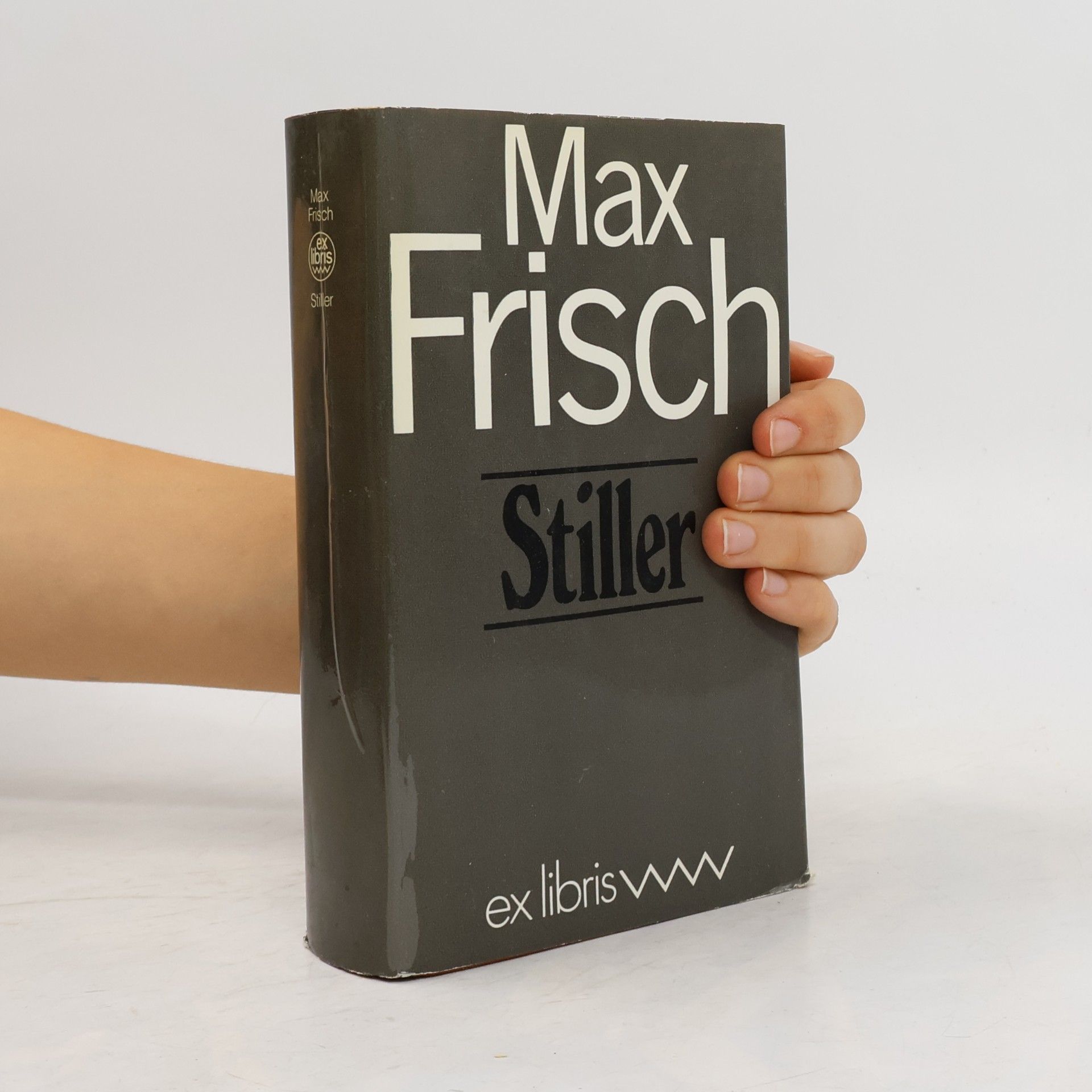 Max Frisch Stiller