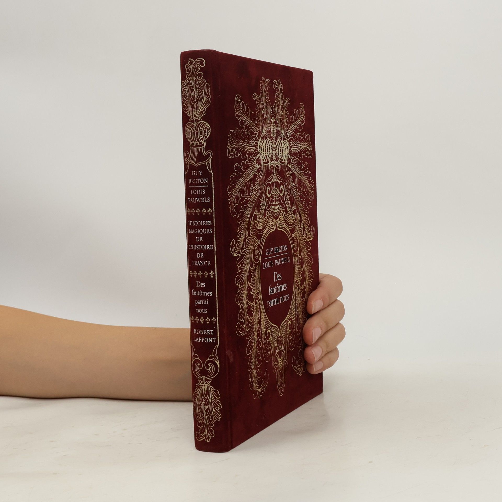 Histoires magiques de l'histoire de France
