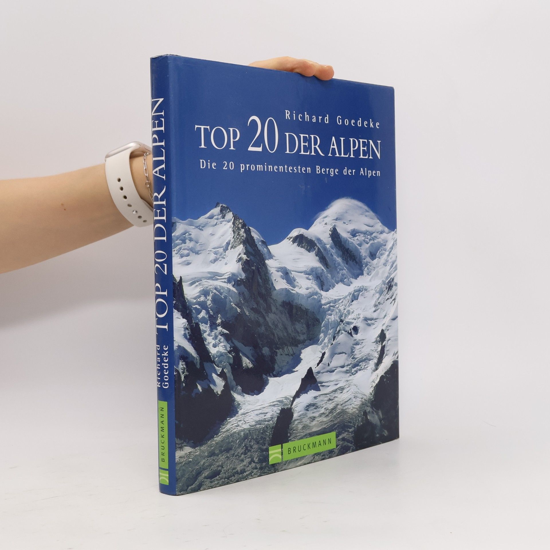 Top 20 der Alpen