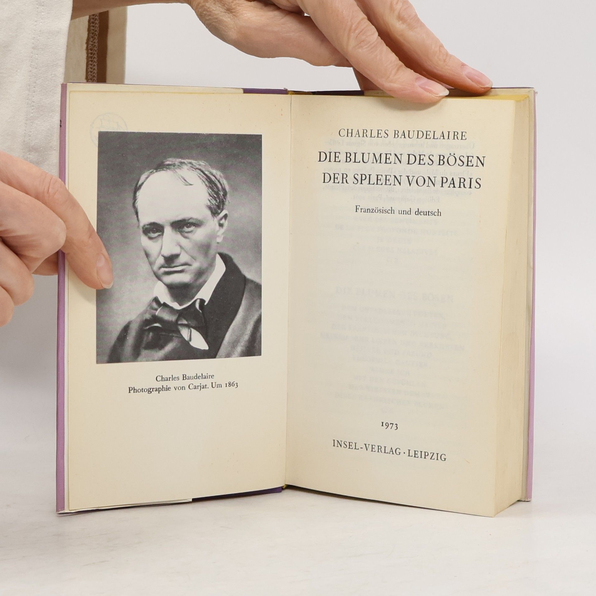 Charles Baudelaire Die Blumen des Bösen der Spleen von Paris