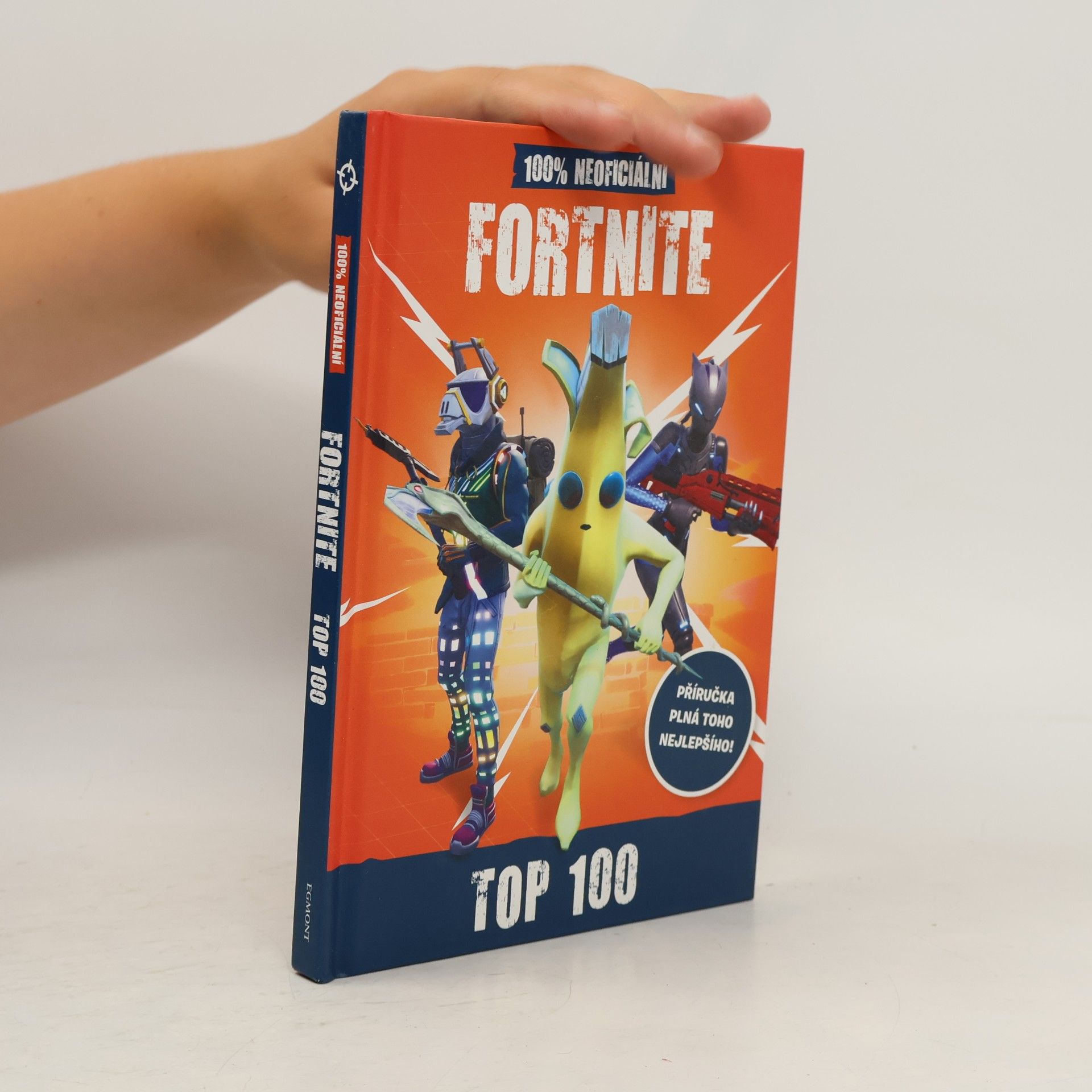 Fortnite : 100% neoficiální top 100