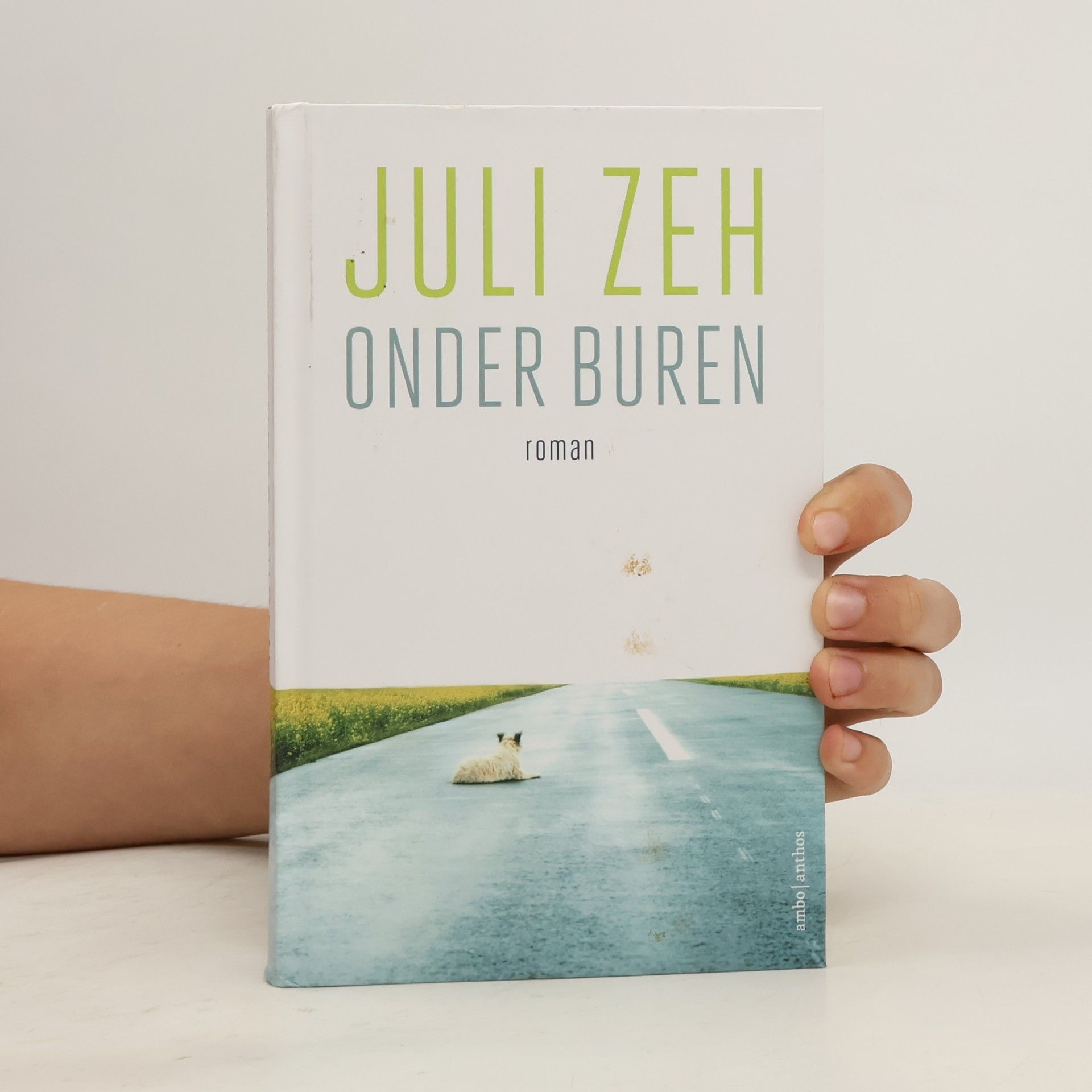 Annemarie Vlaming Onder buren