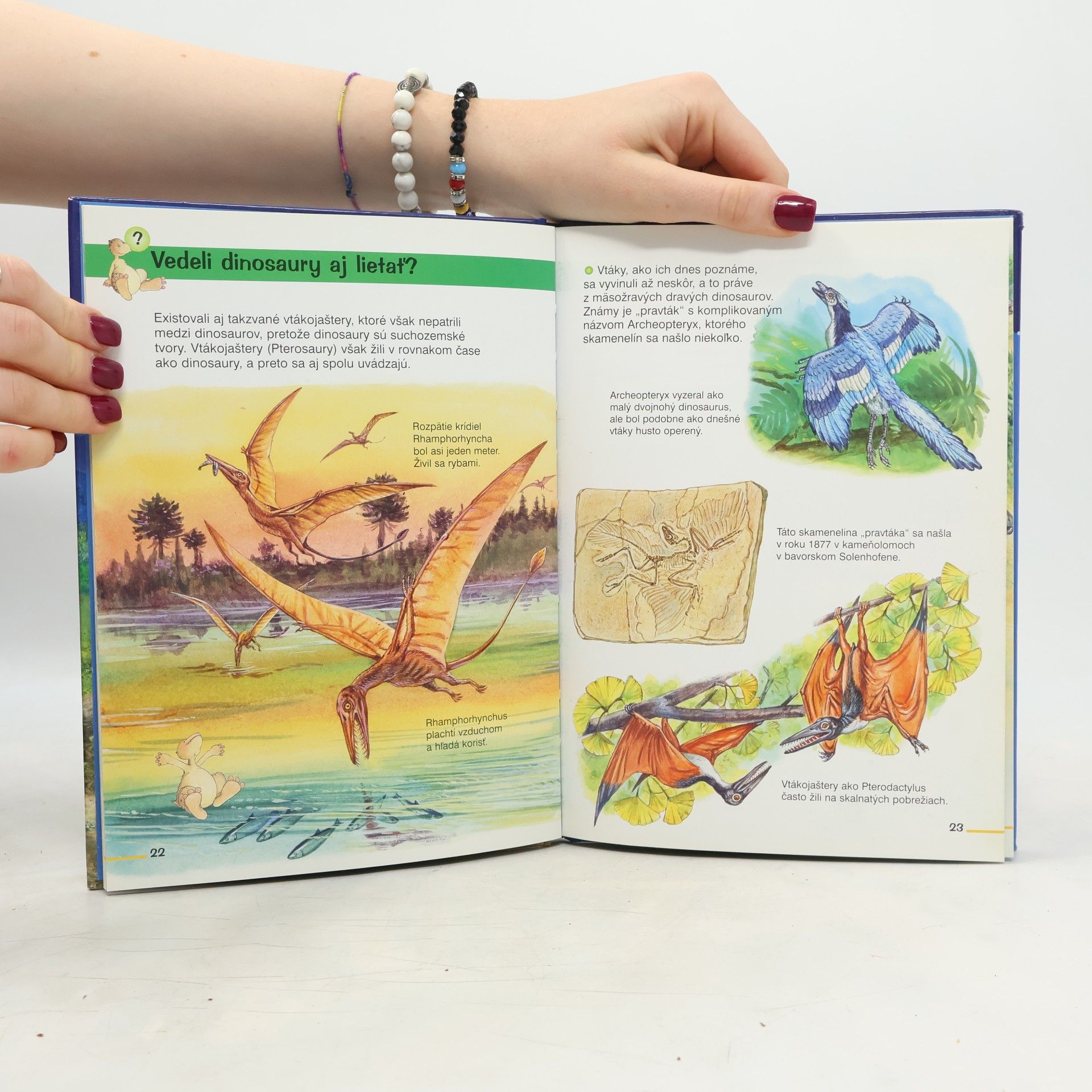 Marilis Lunkenbein Všetko o dinosauroch