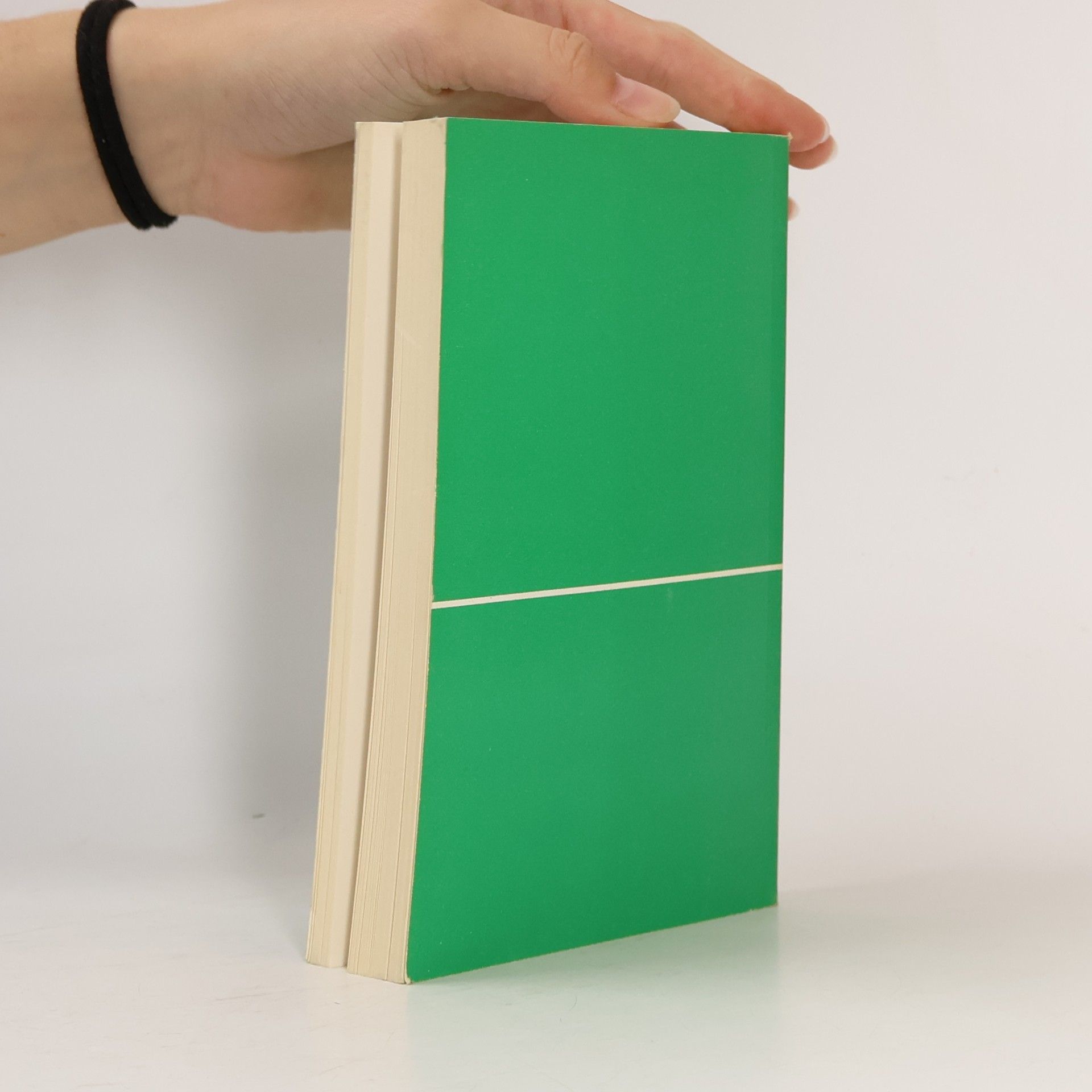 Autorenkollektiv Handbuch Pflegehilfsdienst