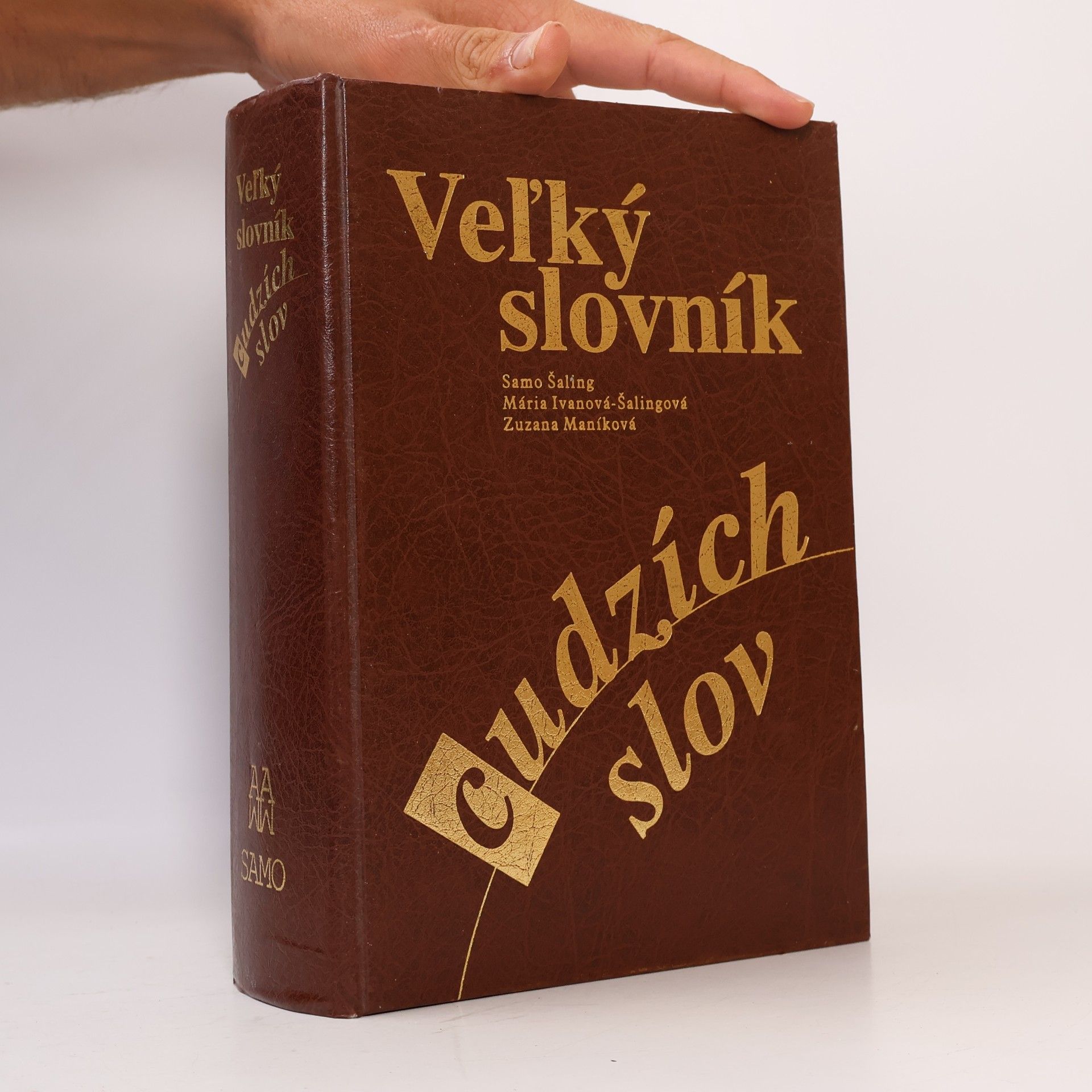 Veľký slovník cudzích slov