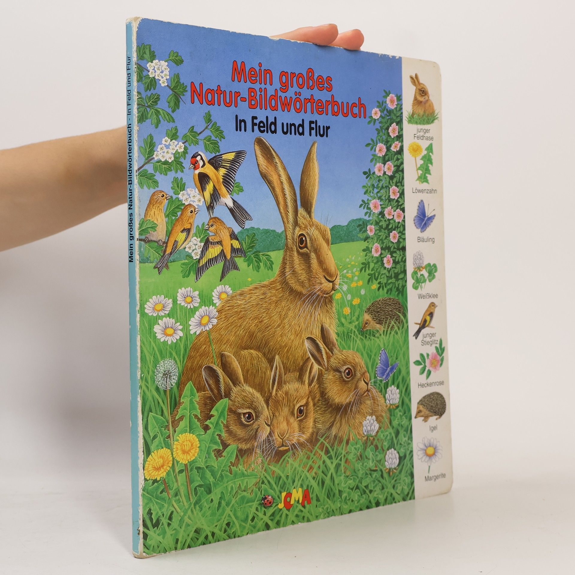 Bob Bampton Mein großes Natur-Bildwörterbuch. In Feld und Flur