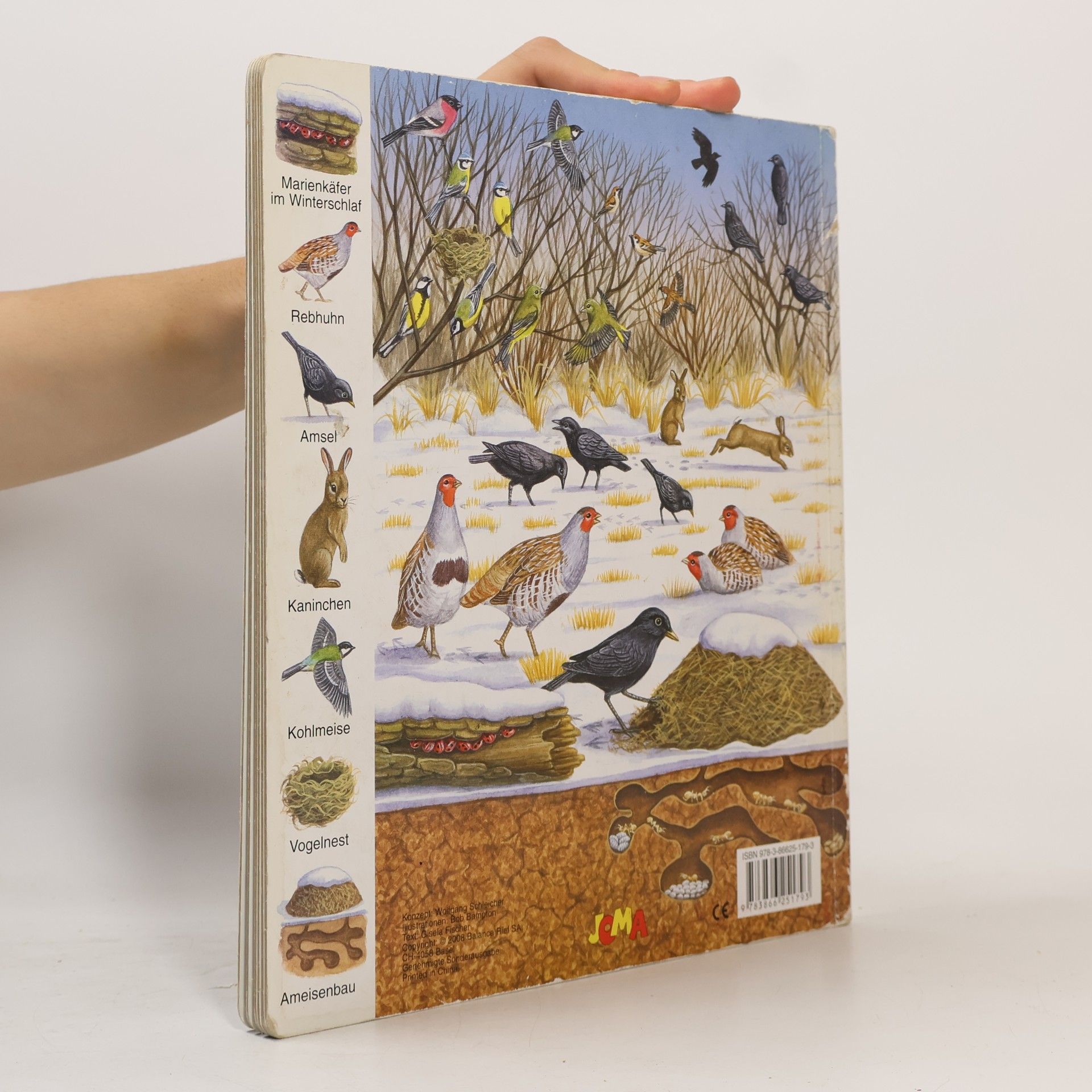 Bob Bampton Mein großes Natur-Bildwörterbuch. In Feld und Flur