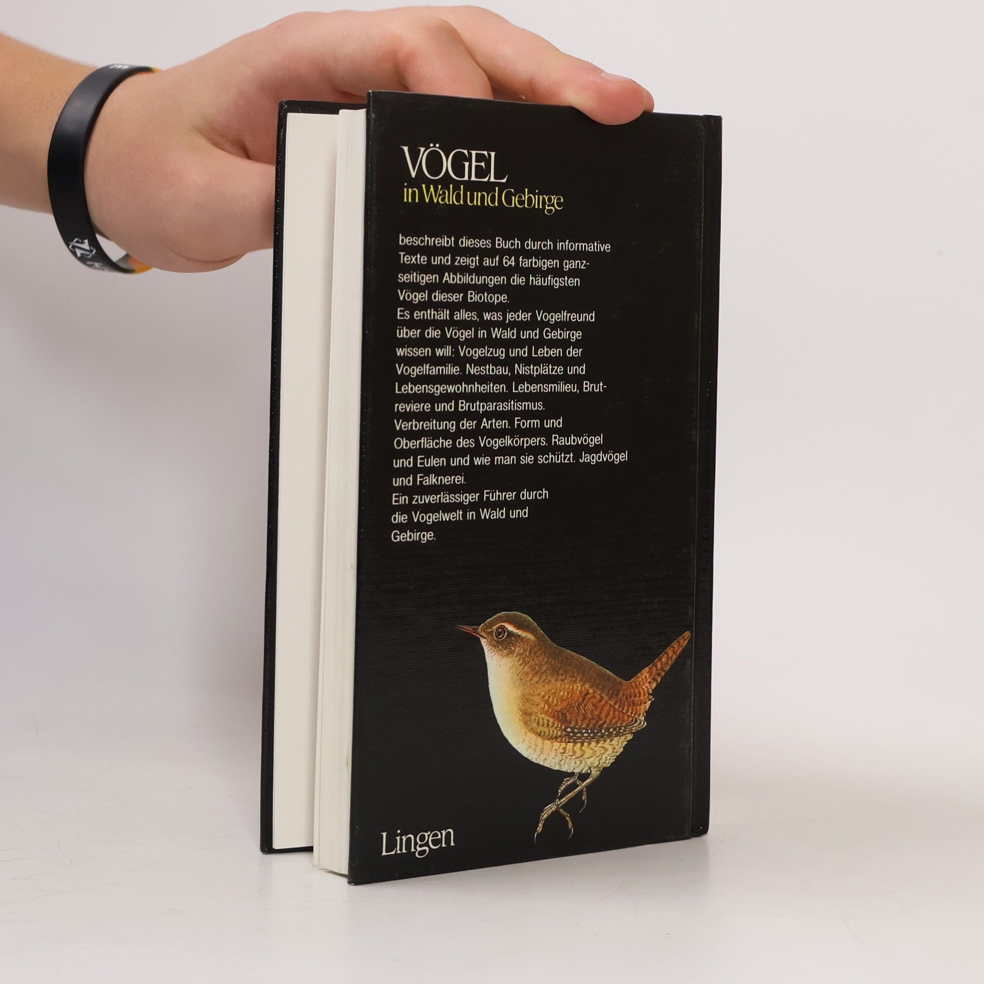 Dr. J. Felix VÖGEL in Wald und Gebirge