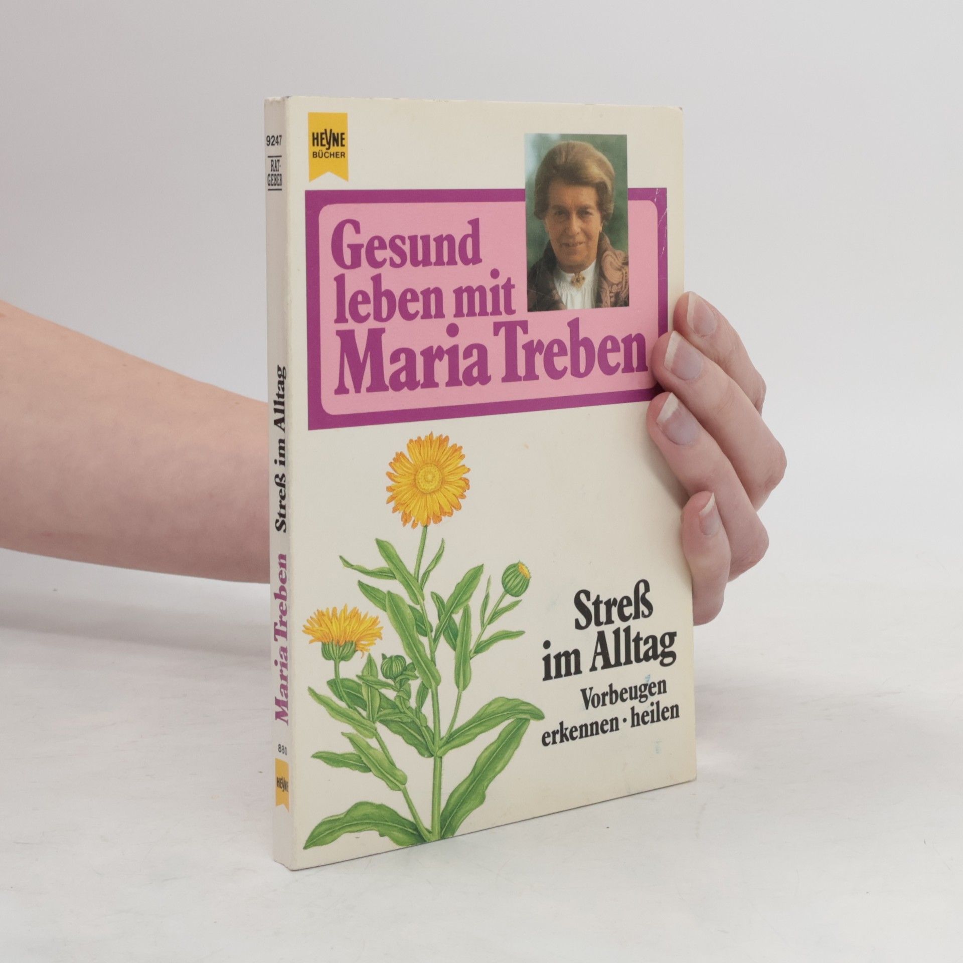 Gesund leben mit Maria Treben: Streß im Alltag