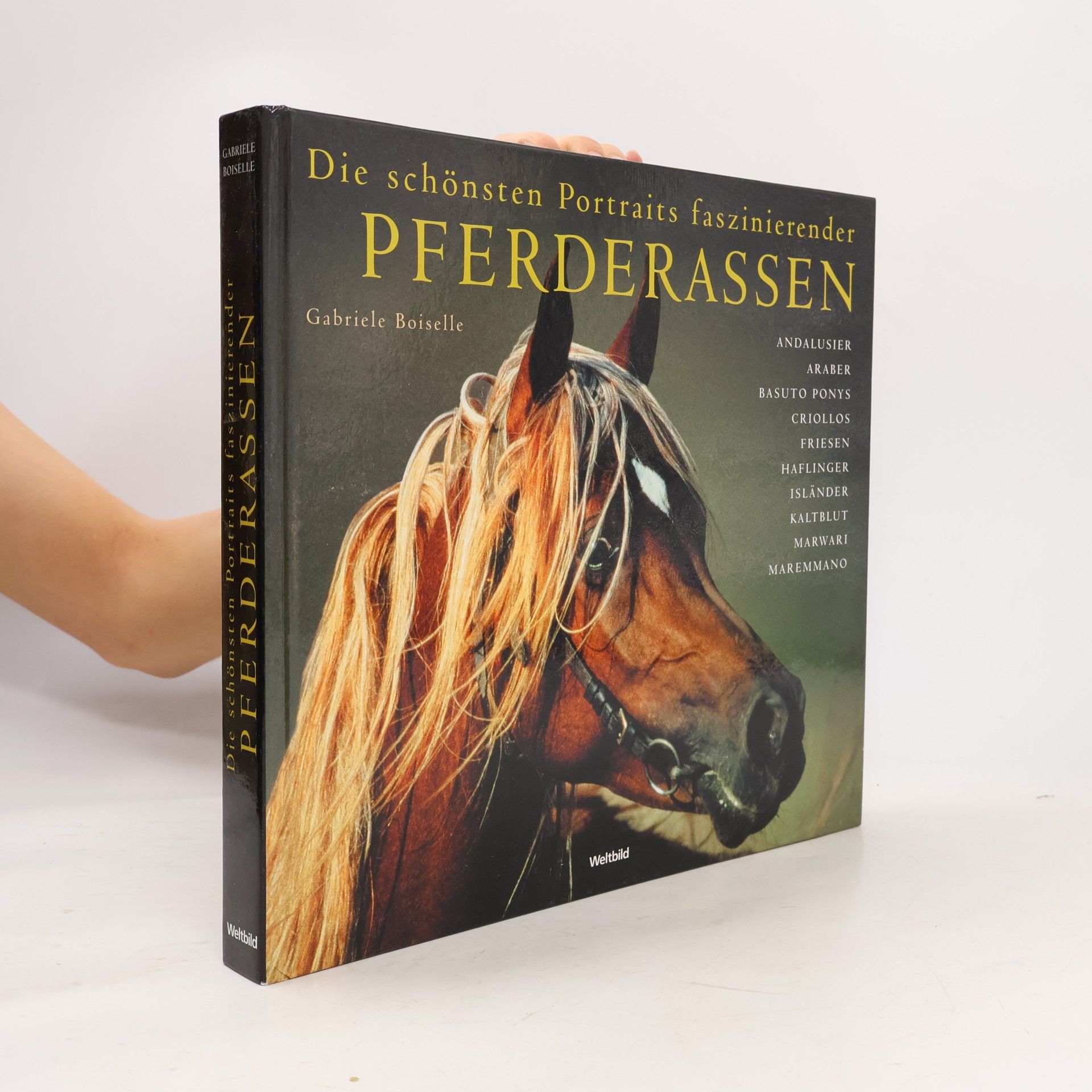 Die schönsten Portraits faszinierender Pferderassen