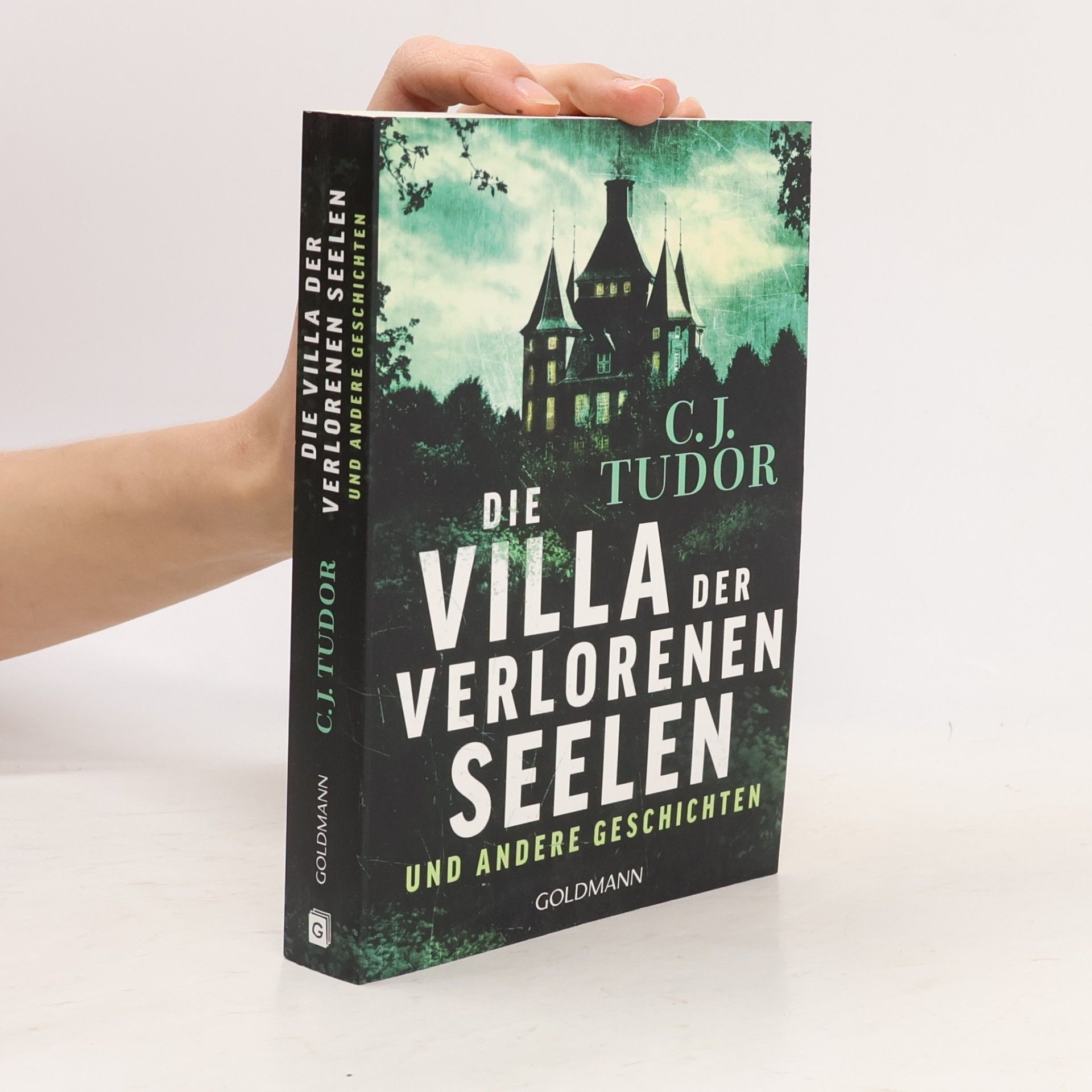 C.J. Tudor Die Villa der verlorenen Seelen und andere Geschichten