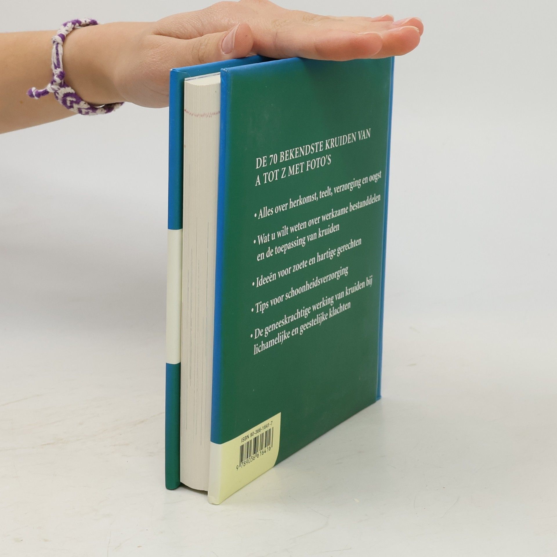 Andrea Rausch DuMonts kleine kruiden lexicon