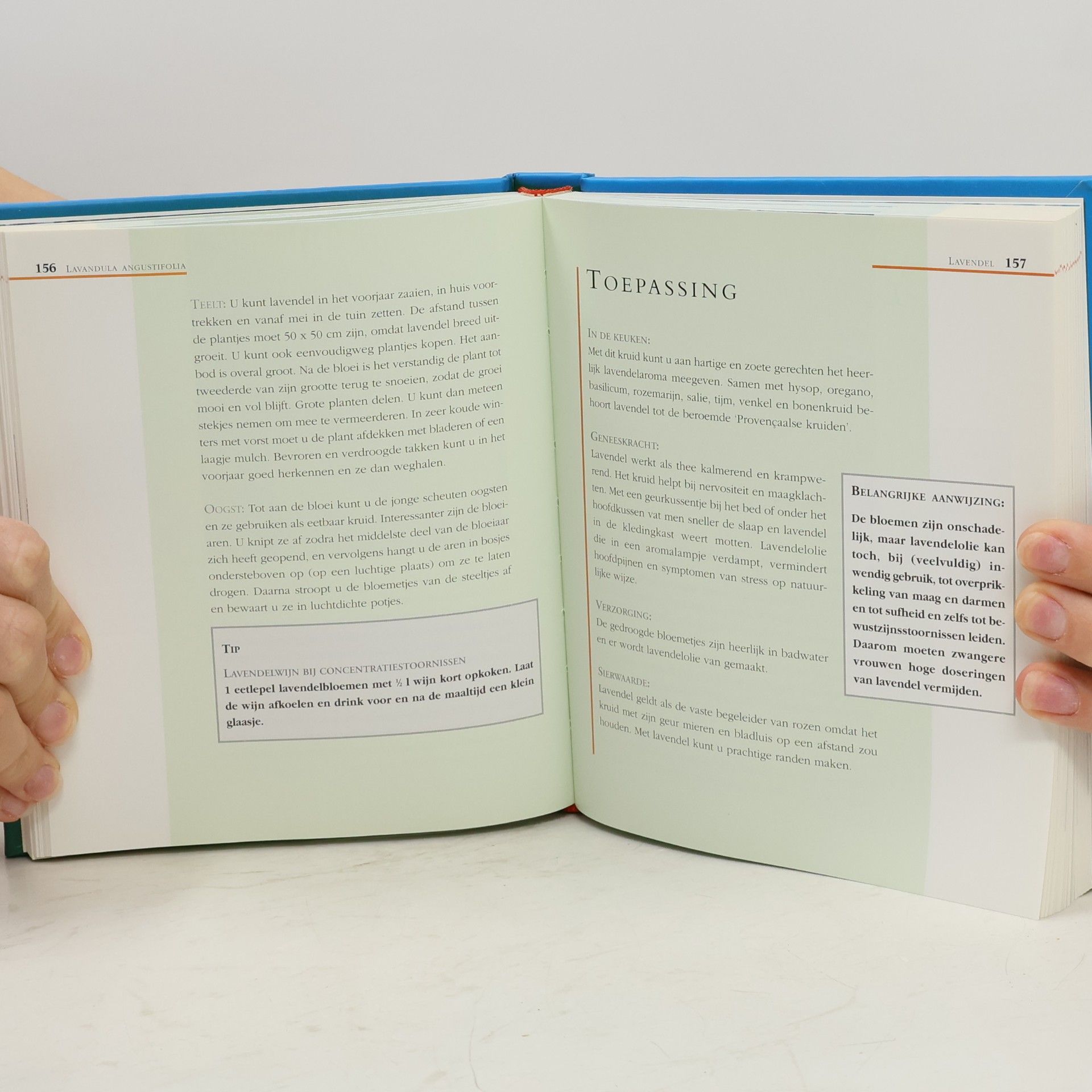 Andrea Rausch DuMonts kleine kruiden lexicon