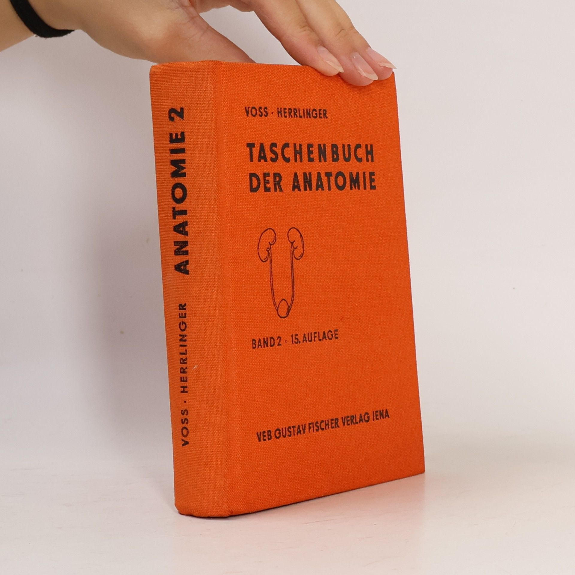 Robert Herrlinger Taschenbuch der Anatomie. Band 2