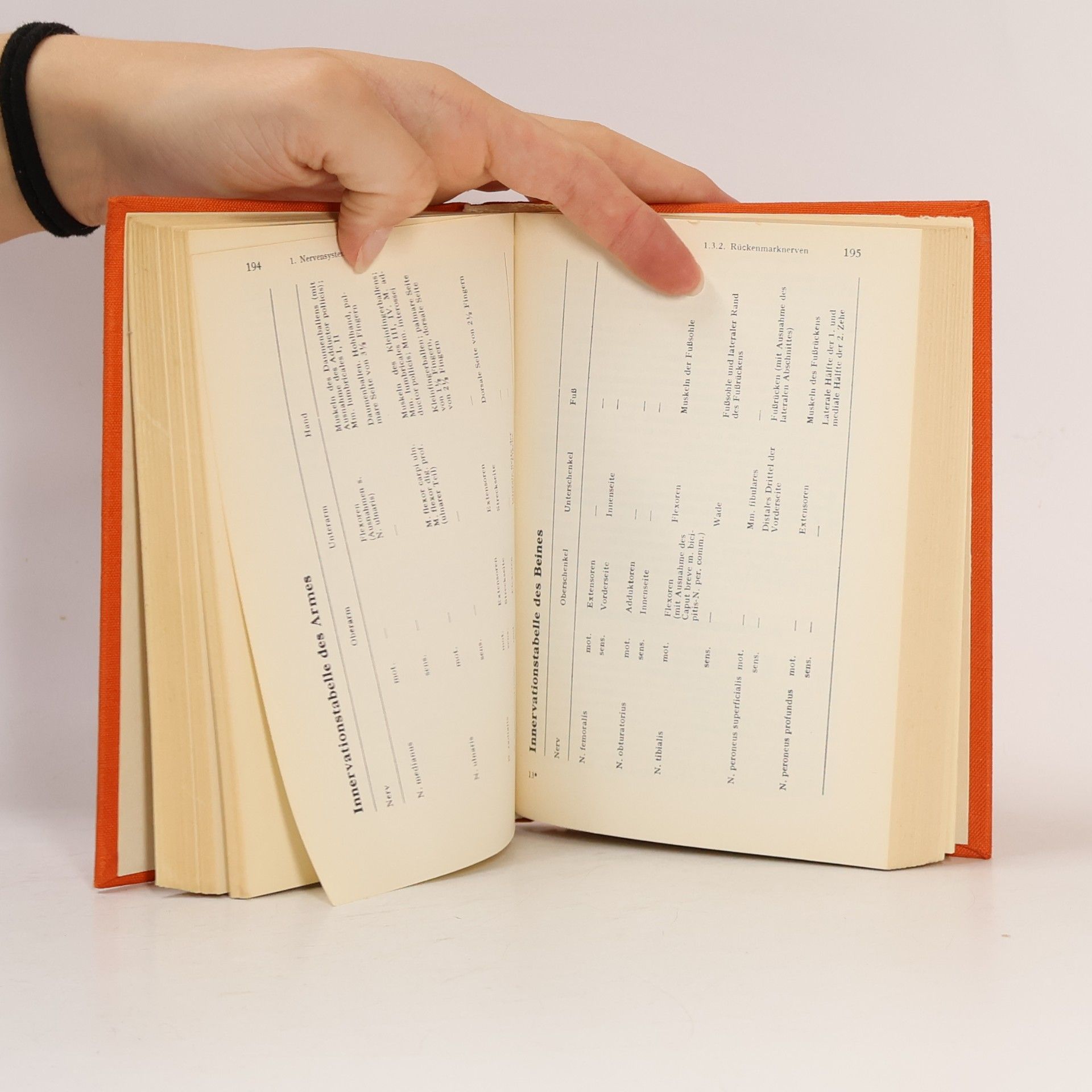 Hermann Voss Taschenbuch der Anatomie. Band 3