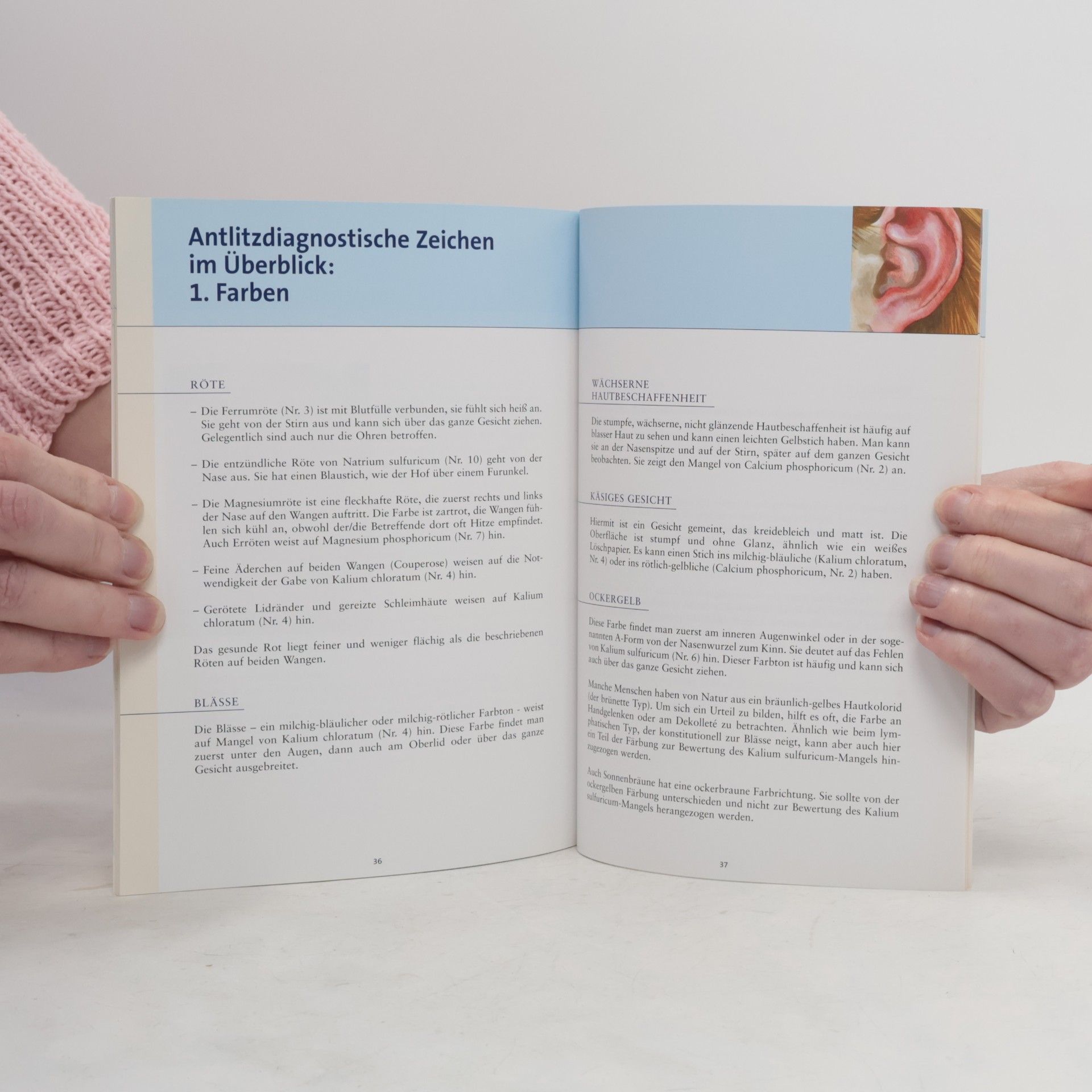 Sigrid Molineus Gesichter sprechen Bände