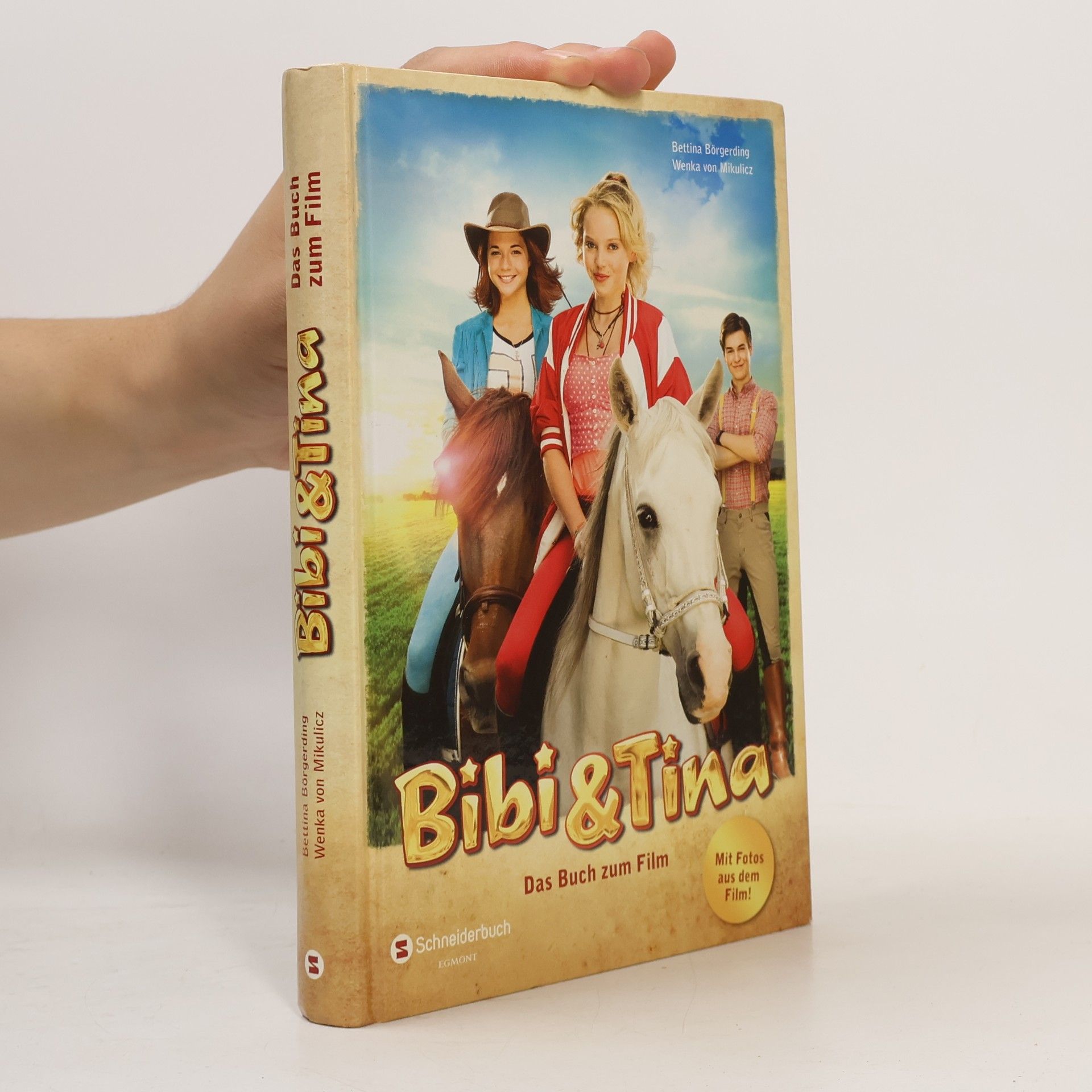 Bettina Börgerding Bibi & Tina Das buch zum film