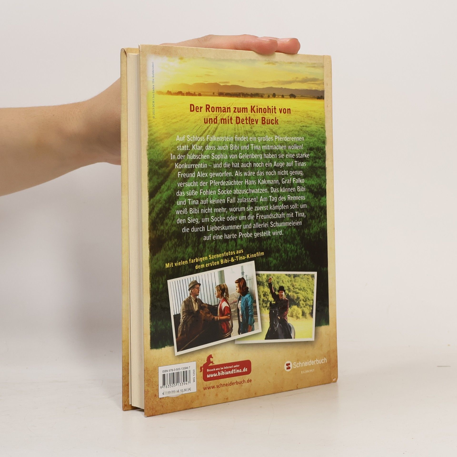 Wenka von Mikulicz Bibi & Tina Das buch zum film