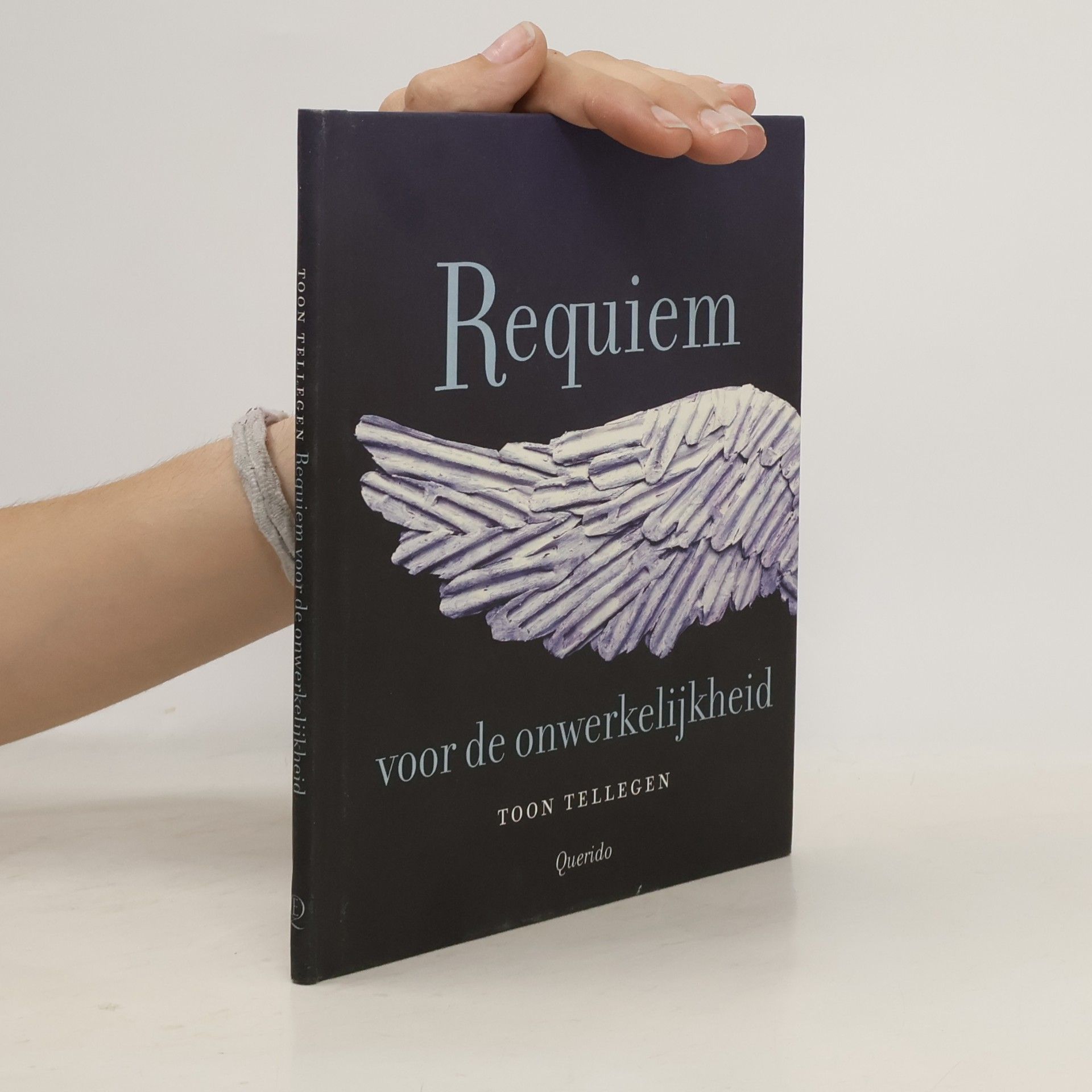 Kees t Hart Requiem voor de onwerkelijkheid