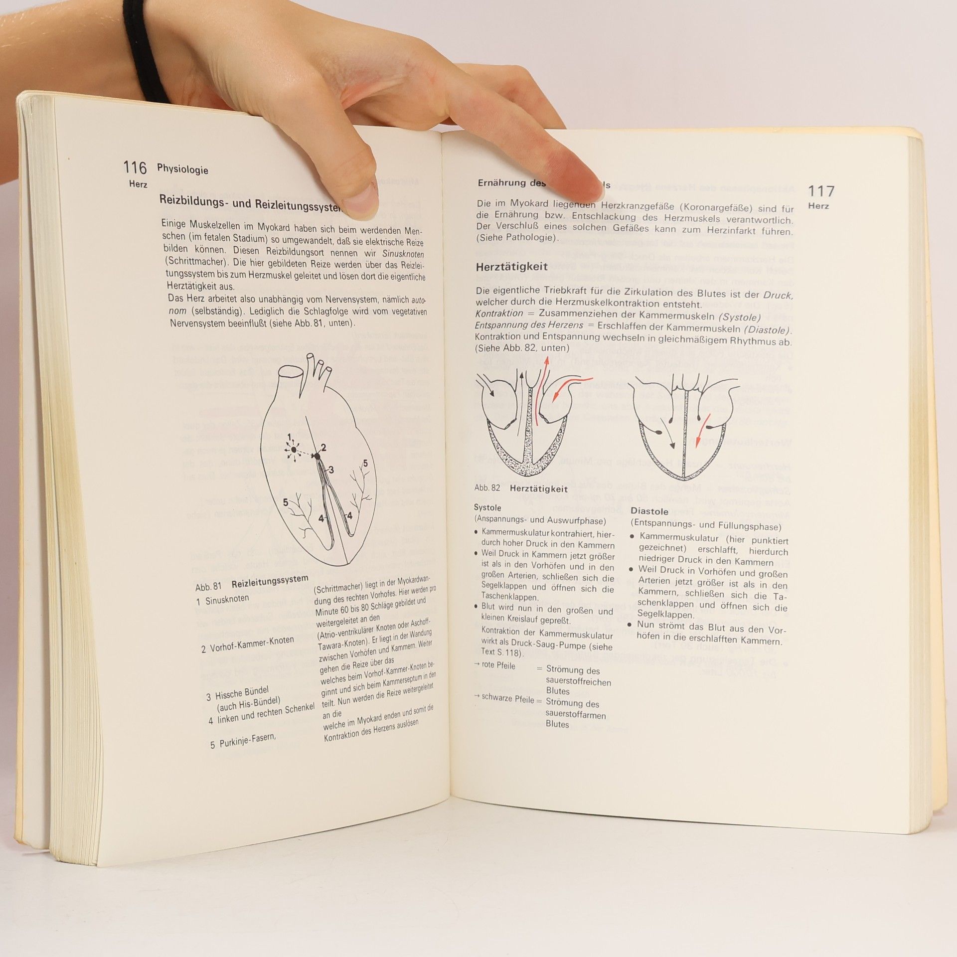 Erica Brühlmann-Jecklin Arbeitsbuch Anatomie und Physiologie für Krankenschwestern, Krankenpfleger u.a. Medizinalfachberufe