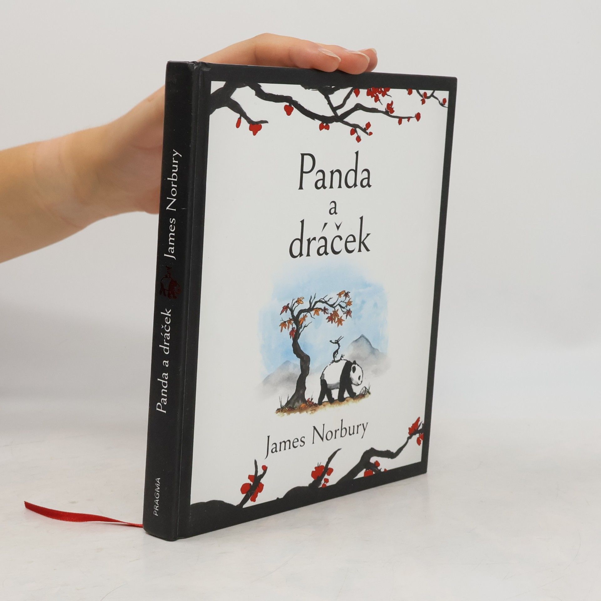 James Norbury Panda a dráček