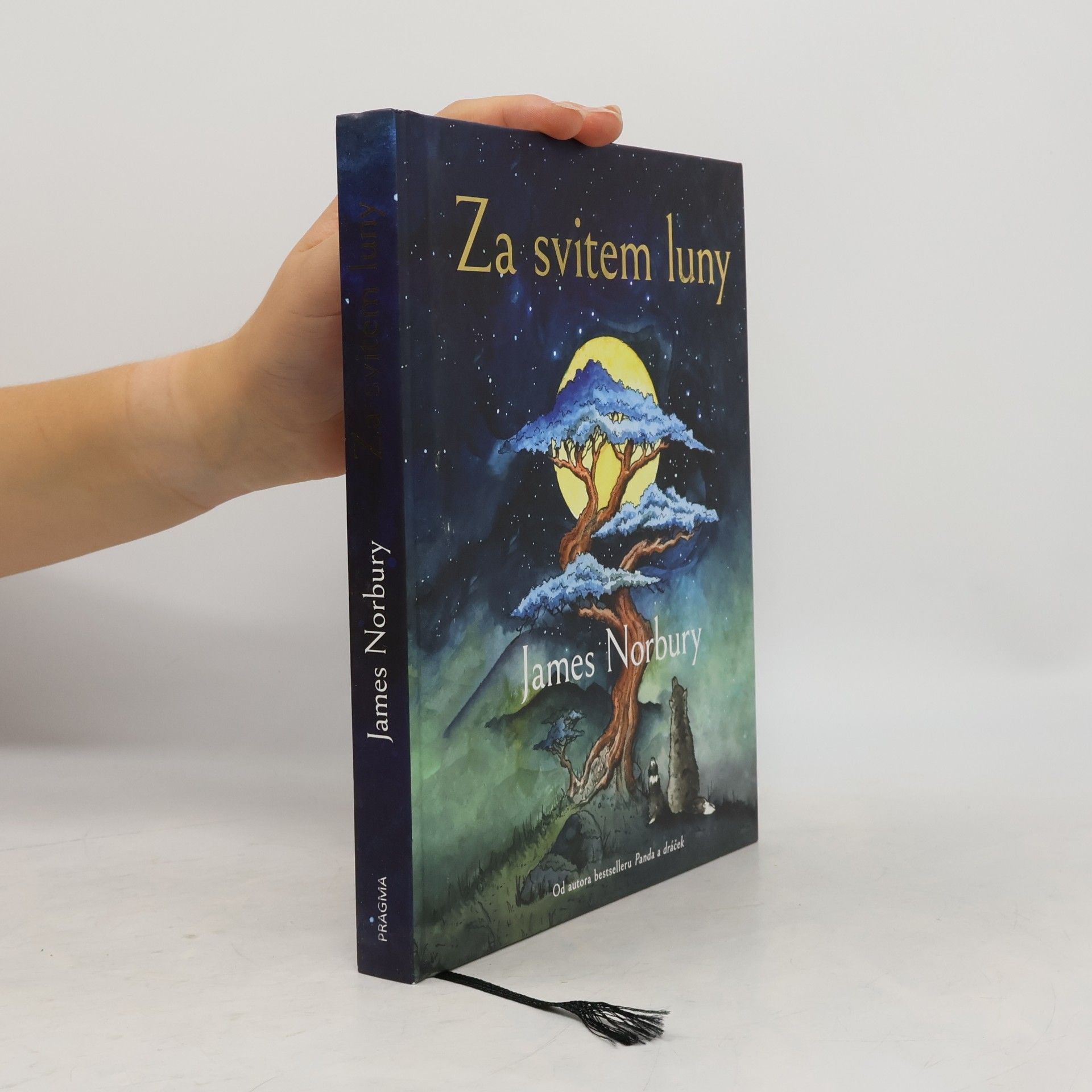 James Norbury Za svitem luny