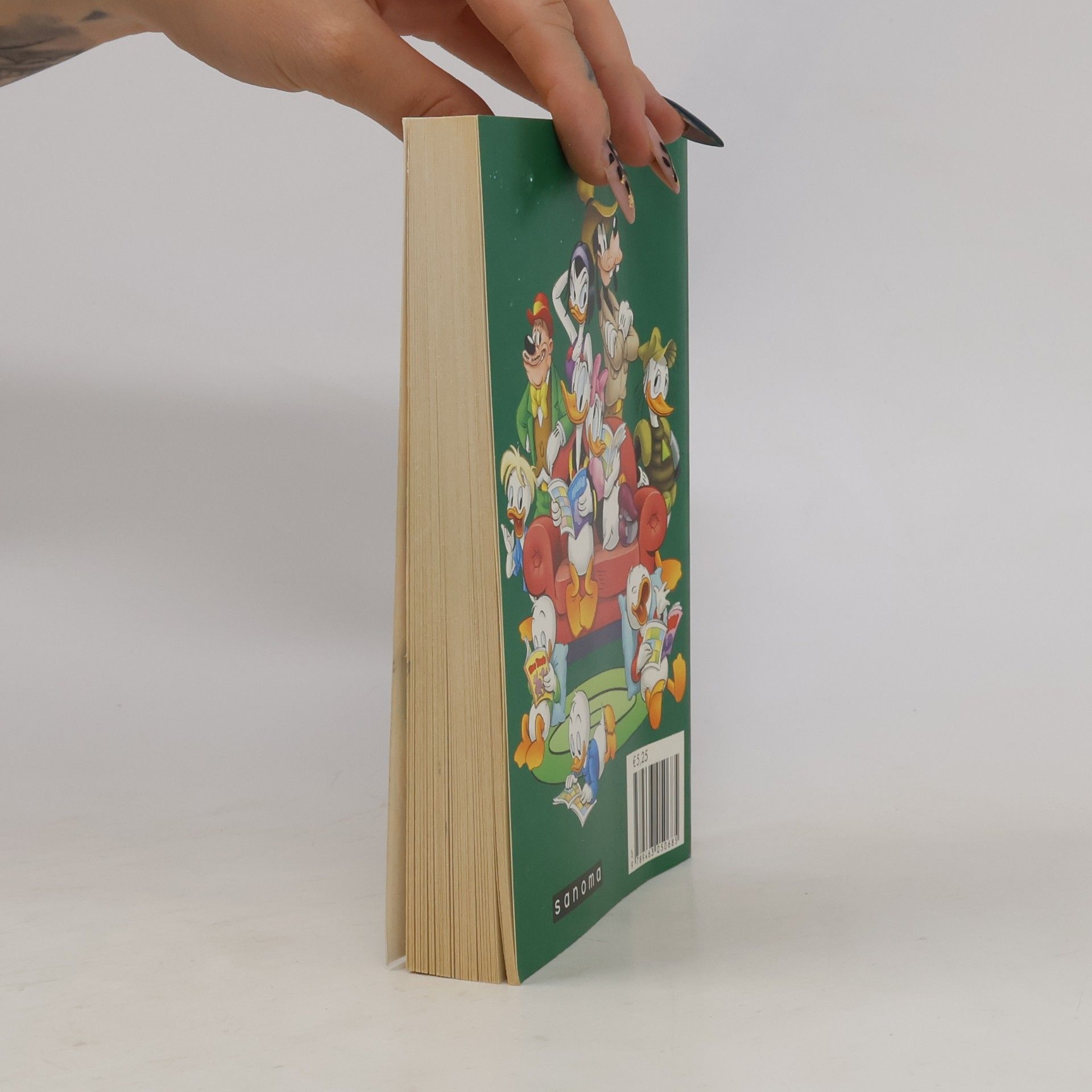 De lichtjes van Duckstad (Donald Duck pocket - 3e reeks, 255)