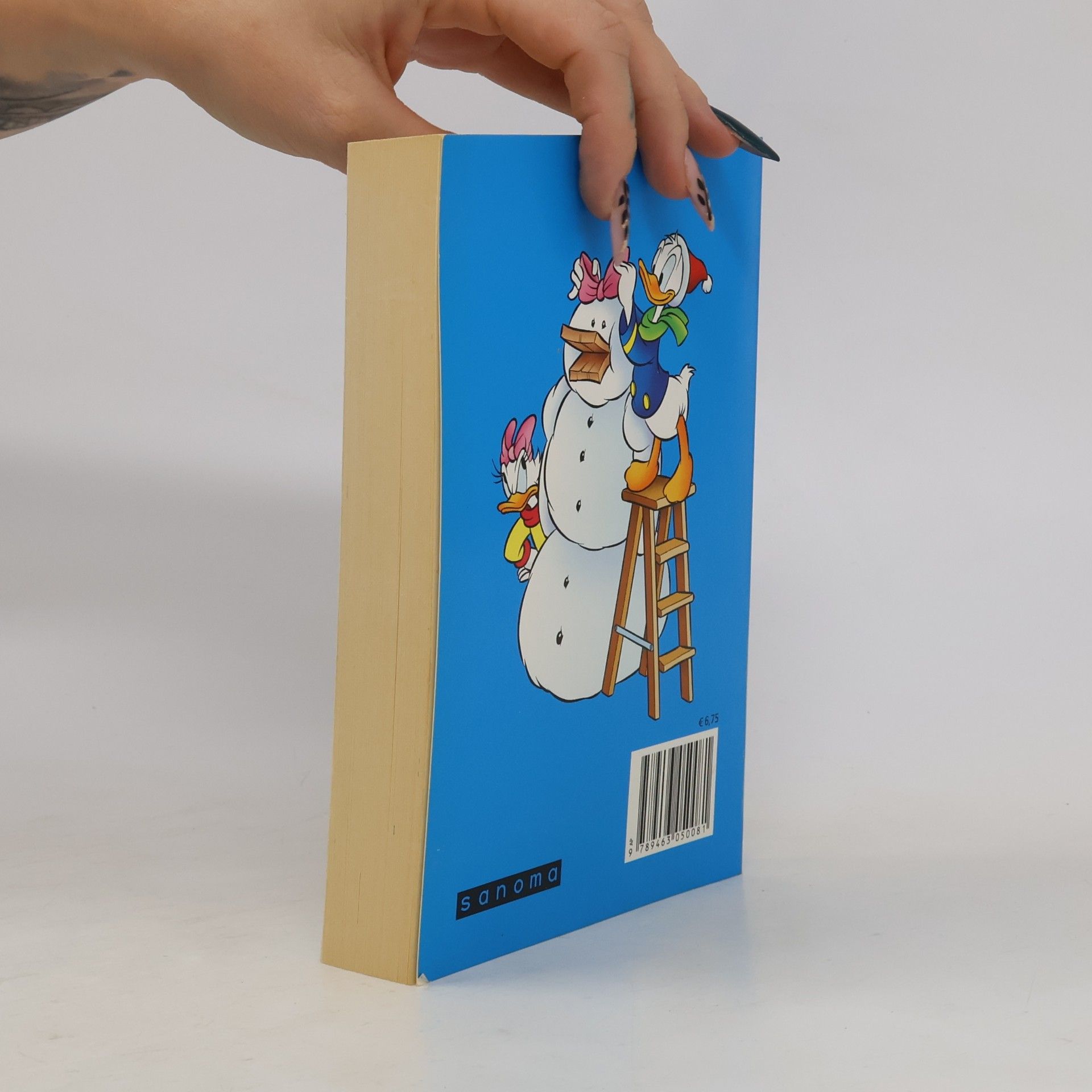 Donald Duck winter mega Pocket