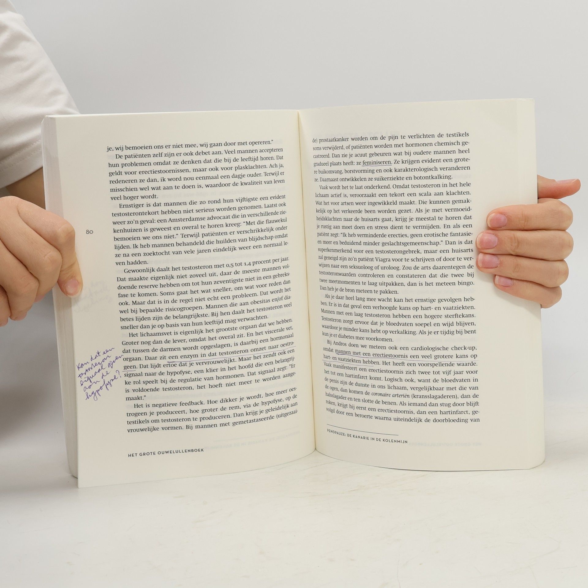 Jerry Goossens Het Grote Ouwelullenboek