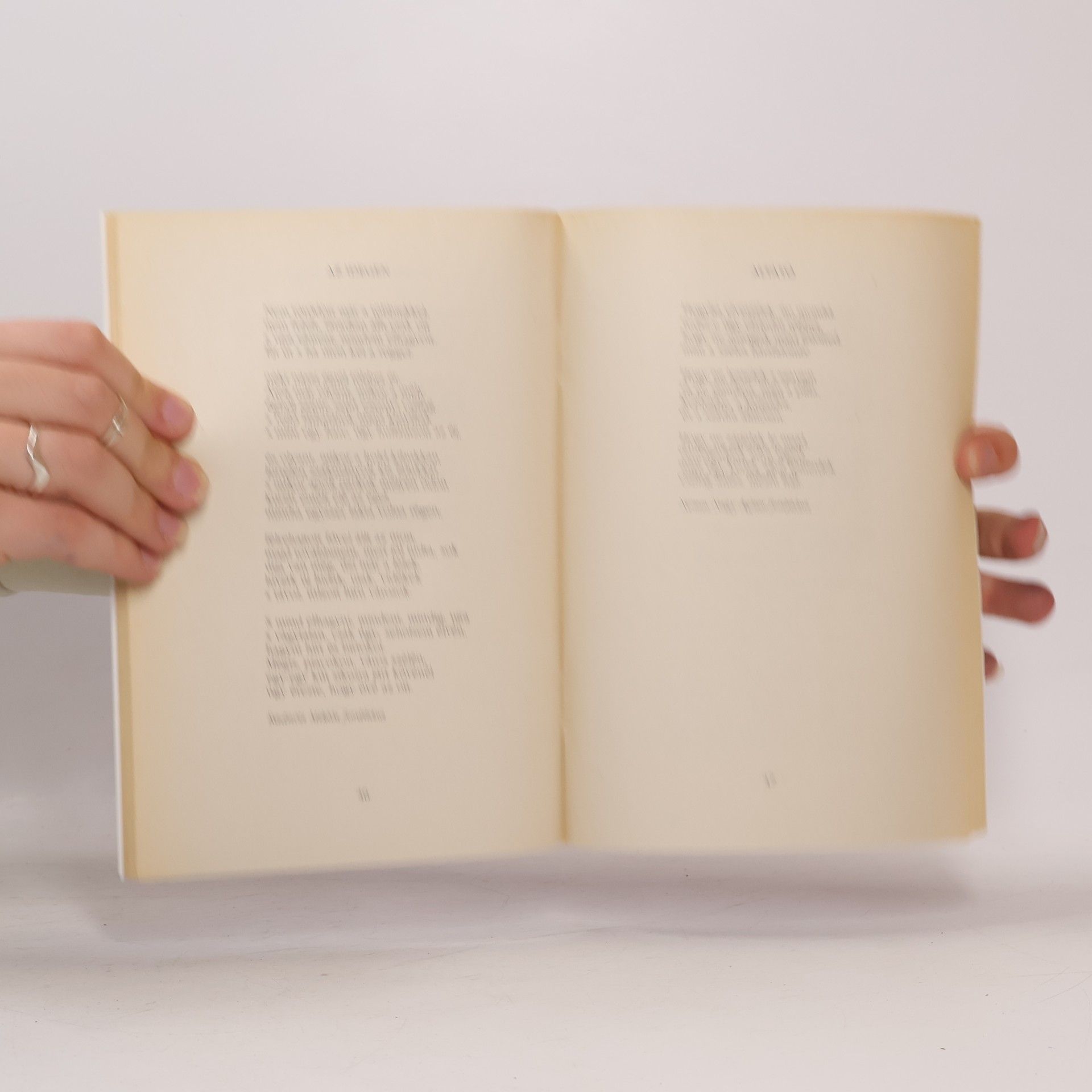 Rainer Maria Rilke A Párduc 107