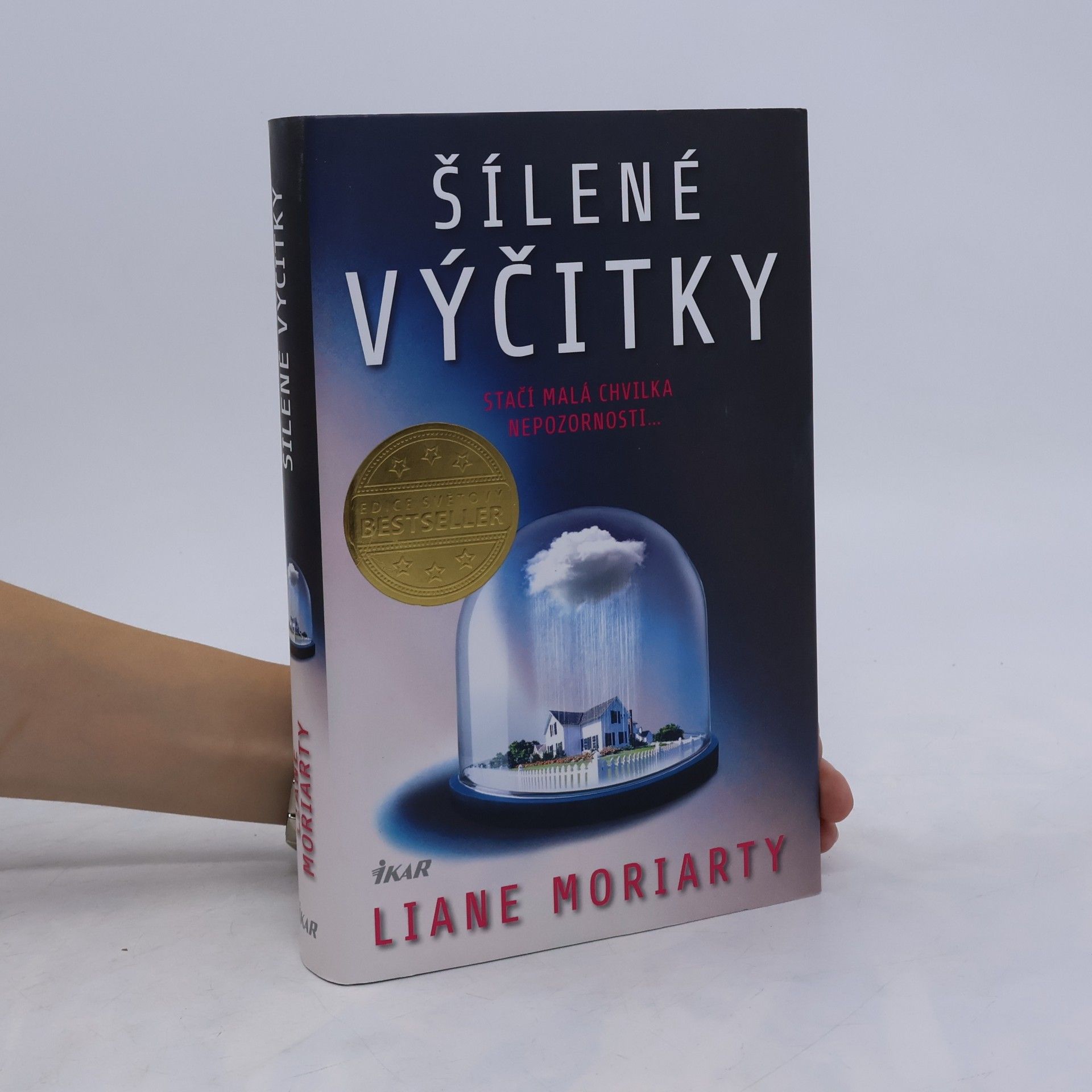 Liane Moriarty Šílené výčitky