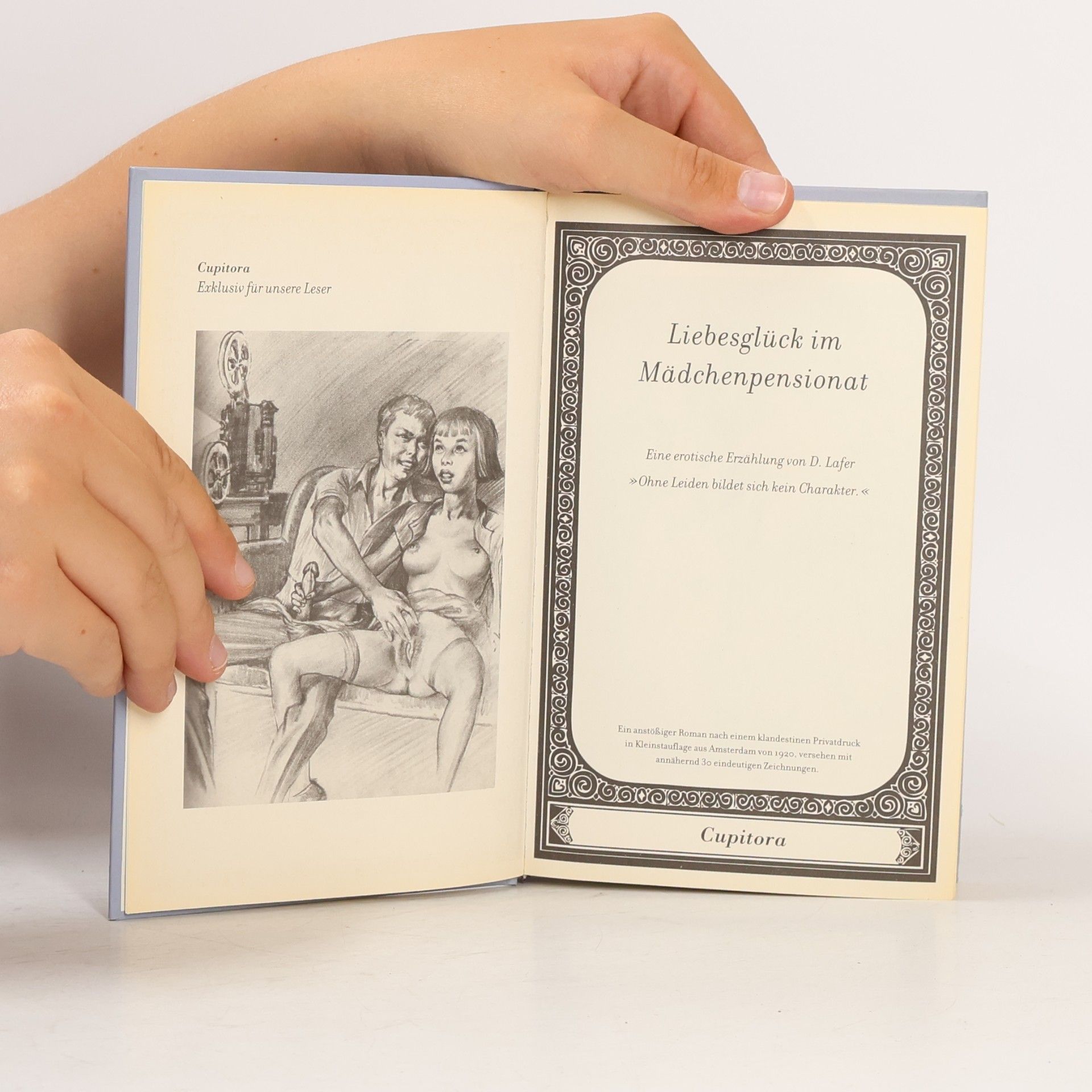 Autorenkollektiv Liebesglück im Mädchenpensionat