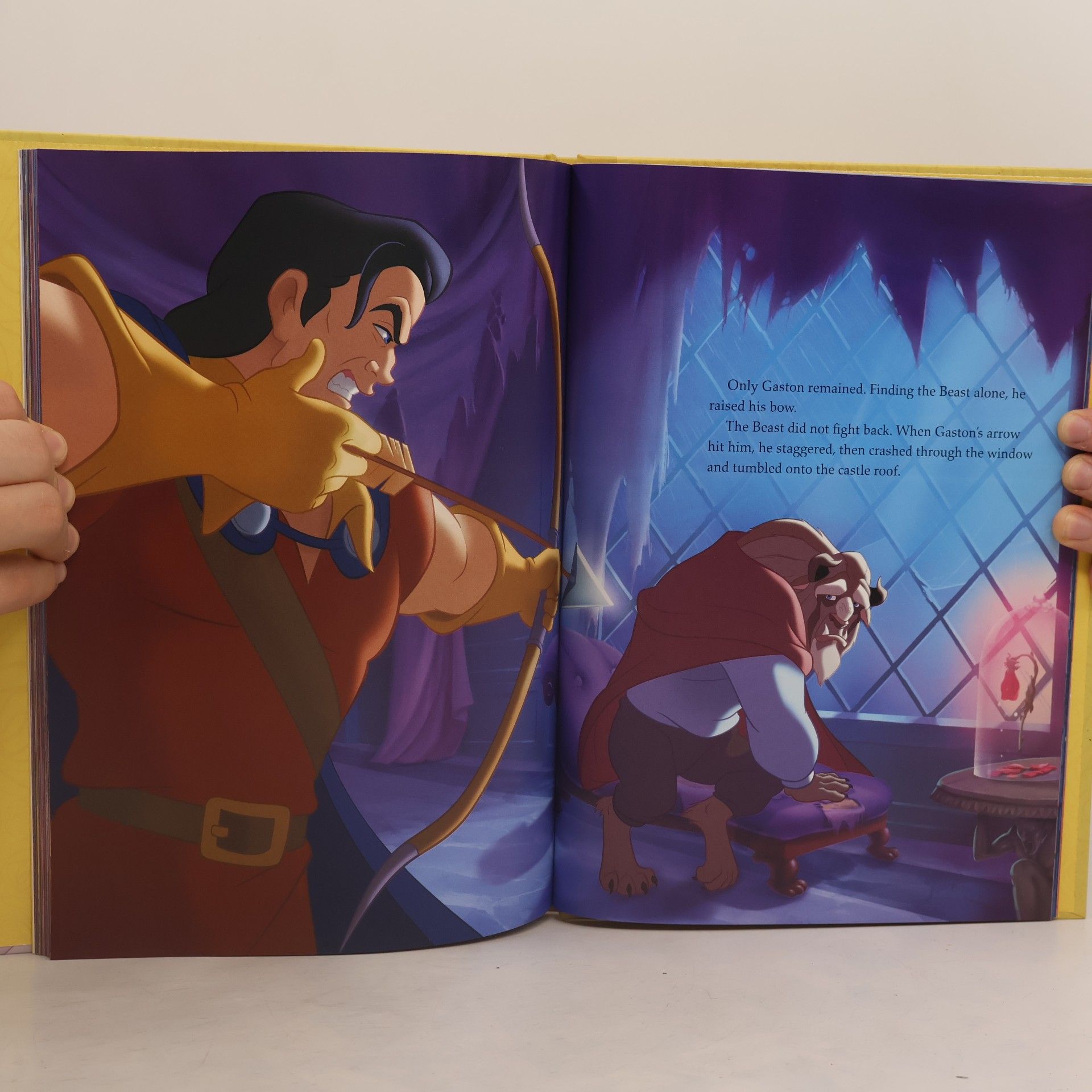 Disney Book Group Disney Princess: Beauty & The Beast The Story Of Belle