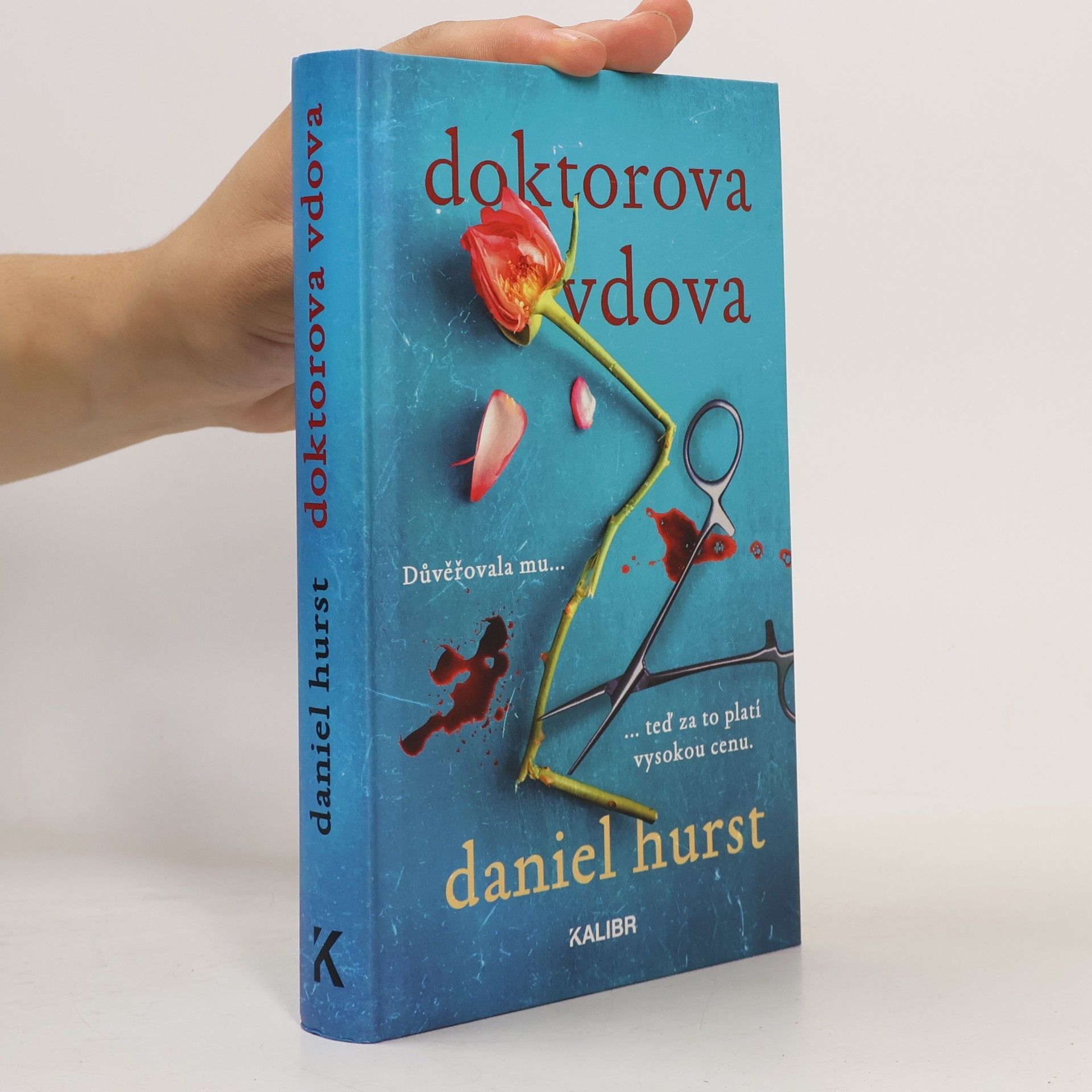 Daniel Hürst Doktorova vdova