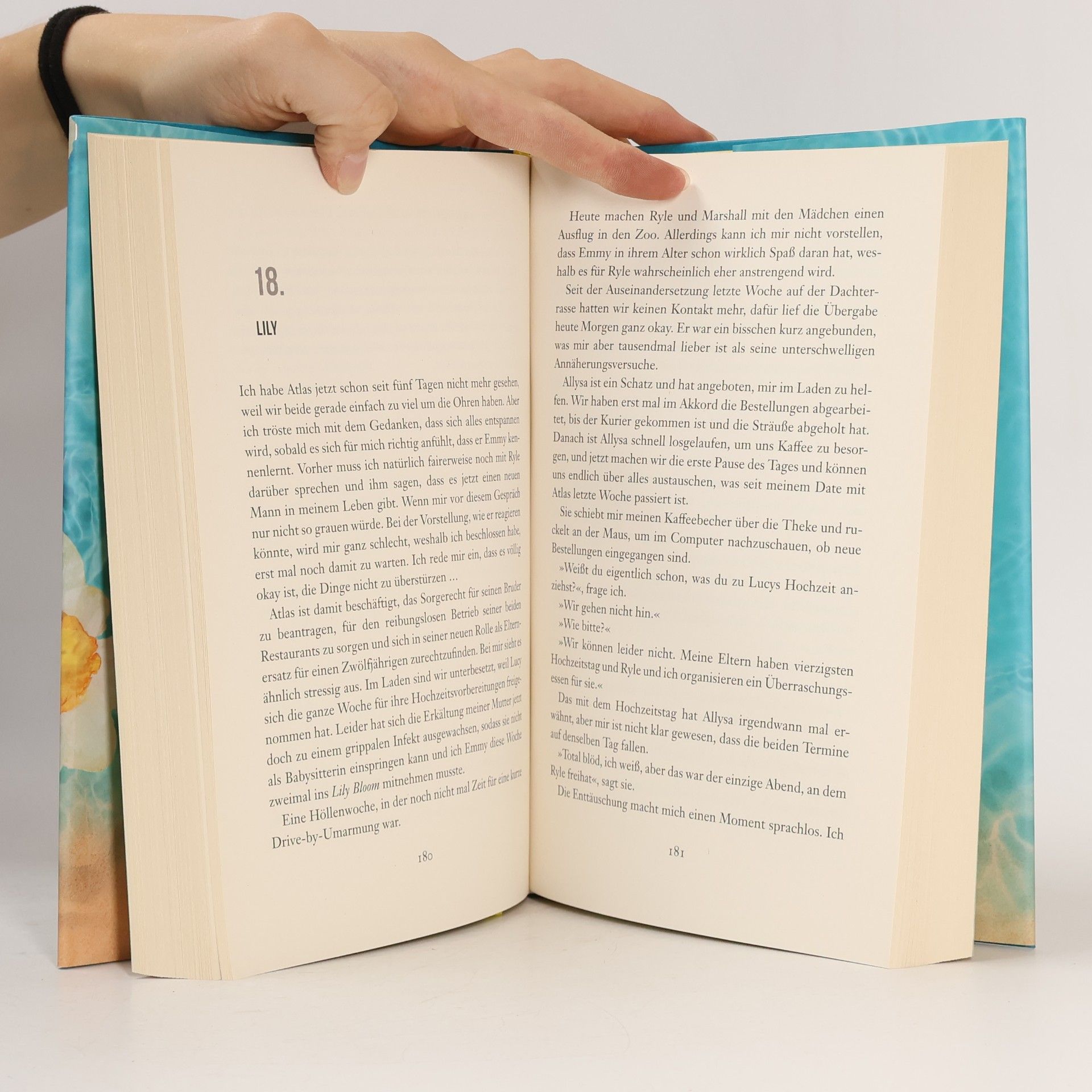 Colleen Hoover Nur noch einmal und für immer
